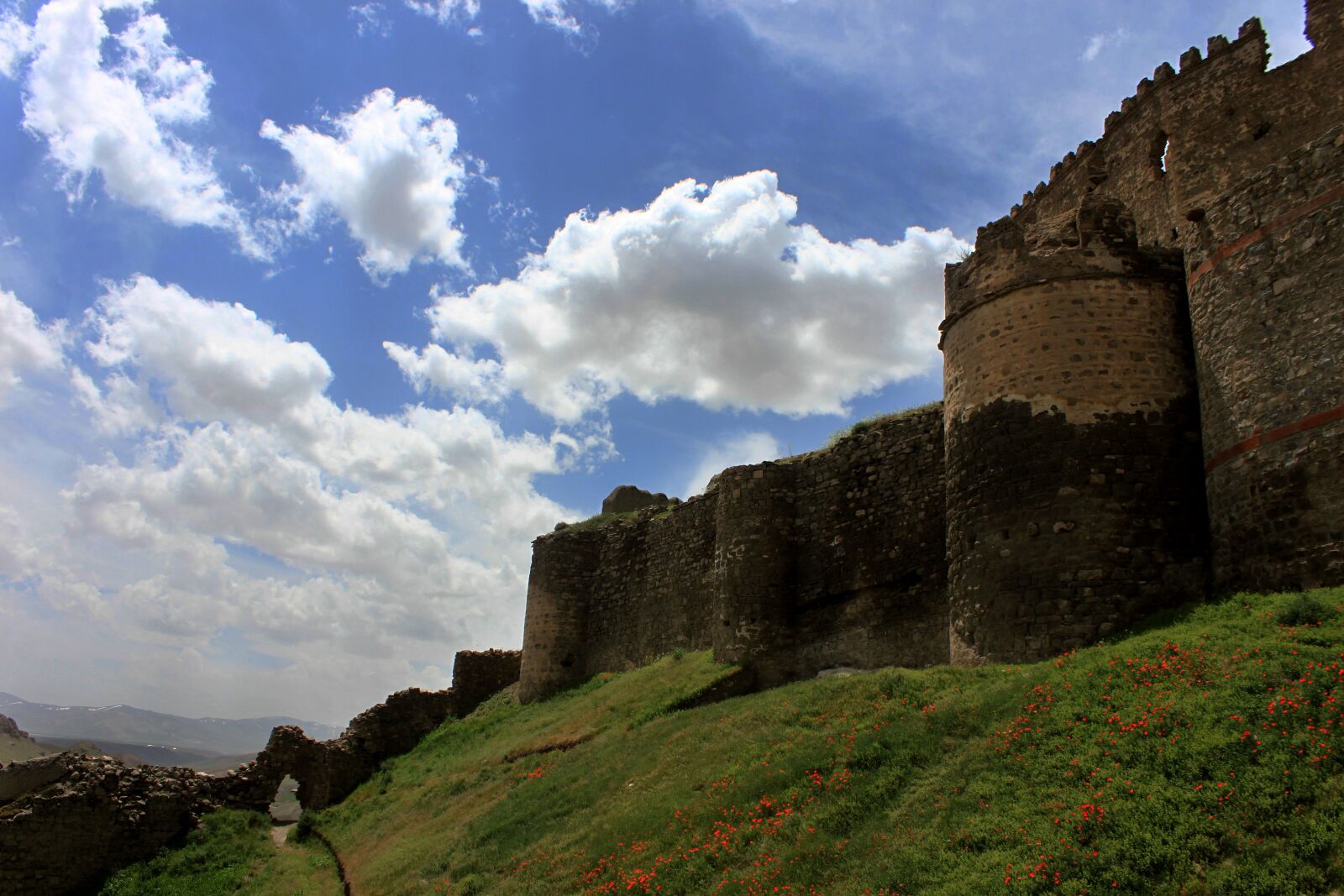 Canon EOS 500D (EOS Rebel T1i / EOS Kiss X3) sample photo. Castle, nature, cloud photography