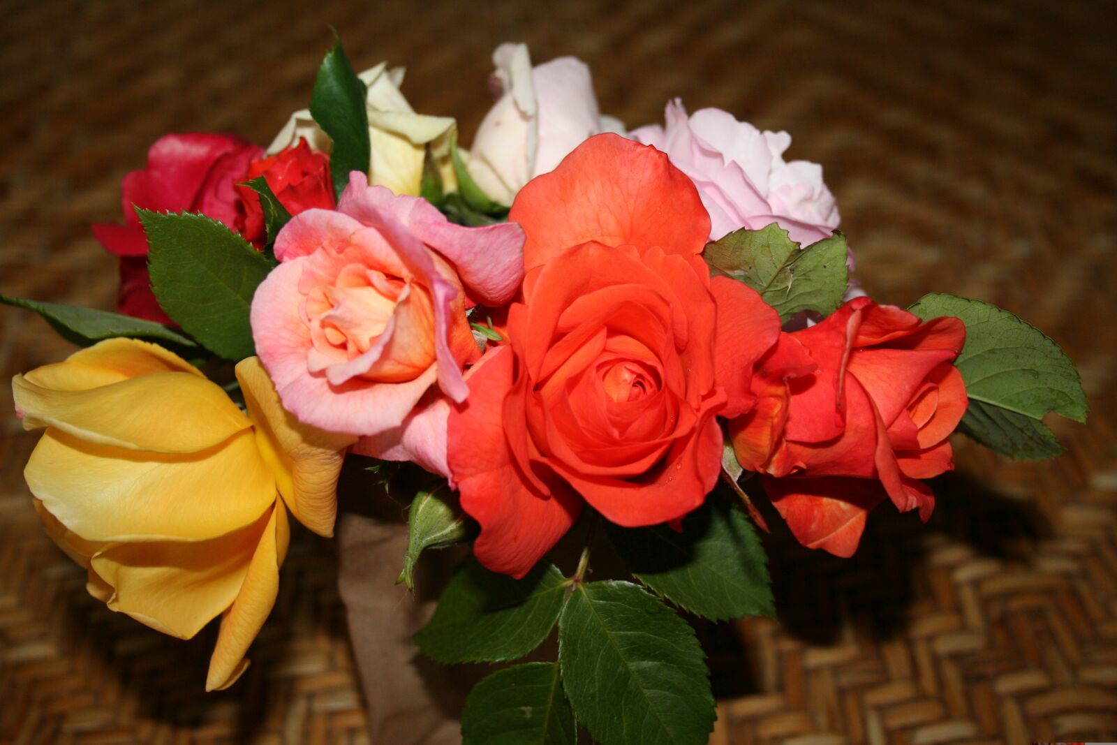 Canon EOS 400D (EOS Digital Rebel XTi / EOS Kiss Digital X) sample photo. Roses, bouquet, still life photography