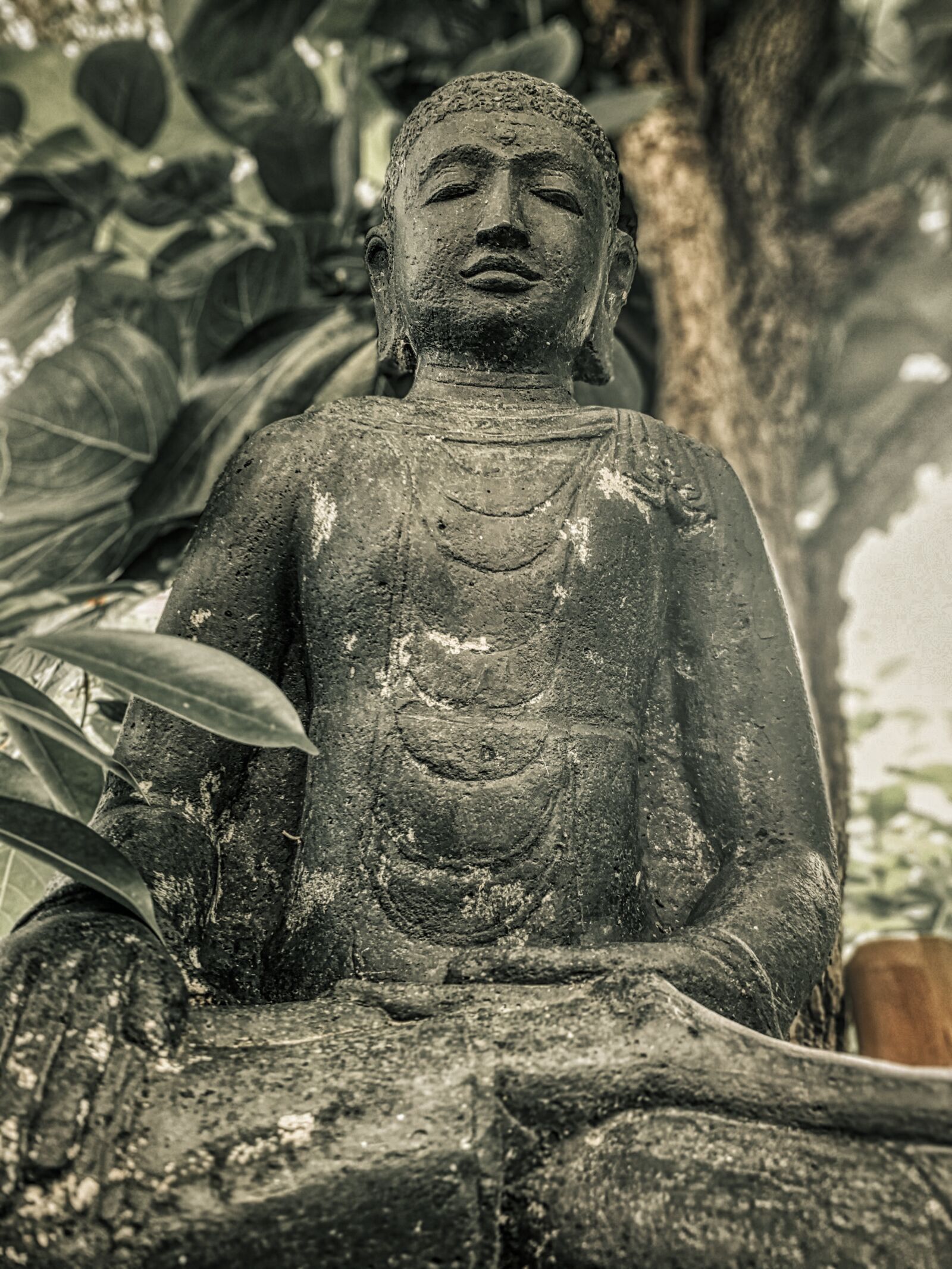 Apple iPhone XR sample photo. Buddha, tantra, art photography