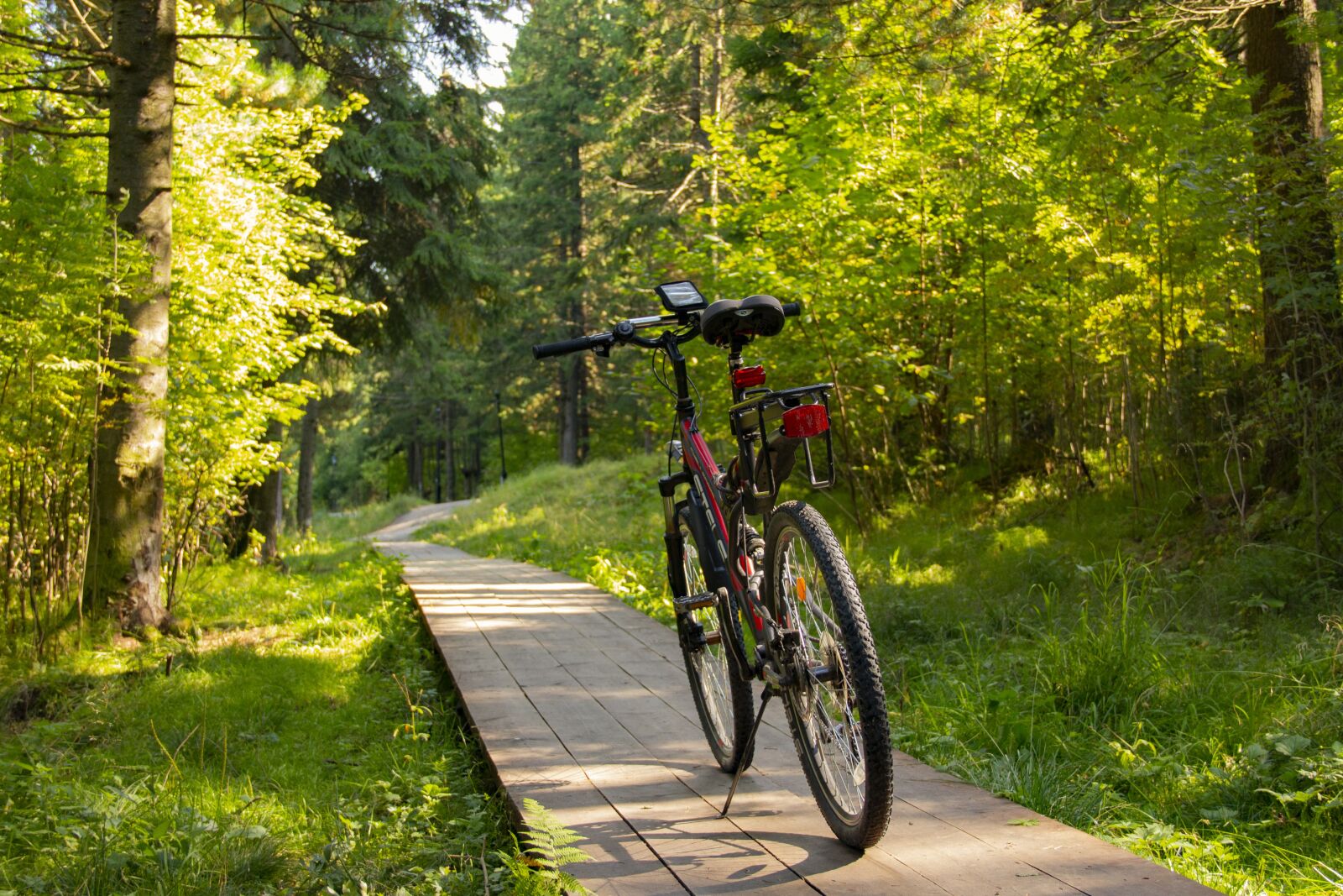 Canon EOS 70D + Canon EF-S 18-135mm F3.5-5.6 IS sample photo. Bike, path, forest photography