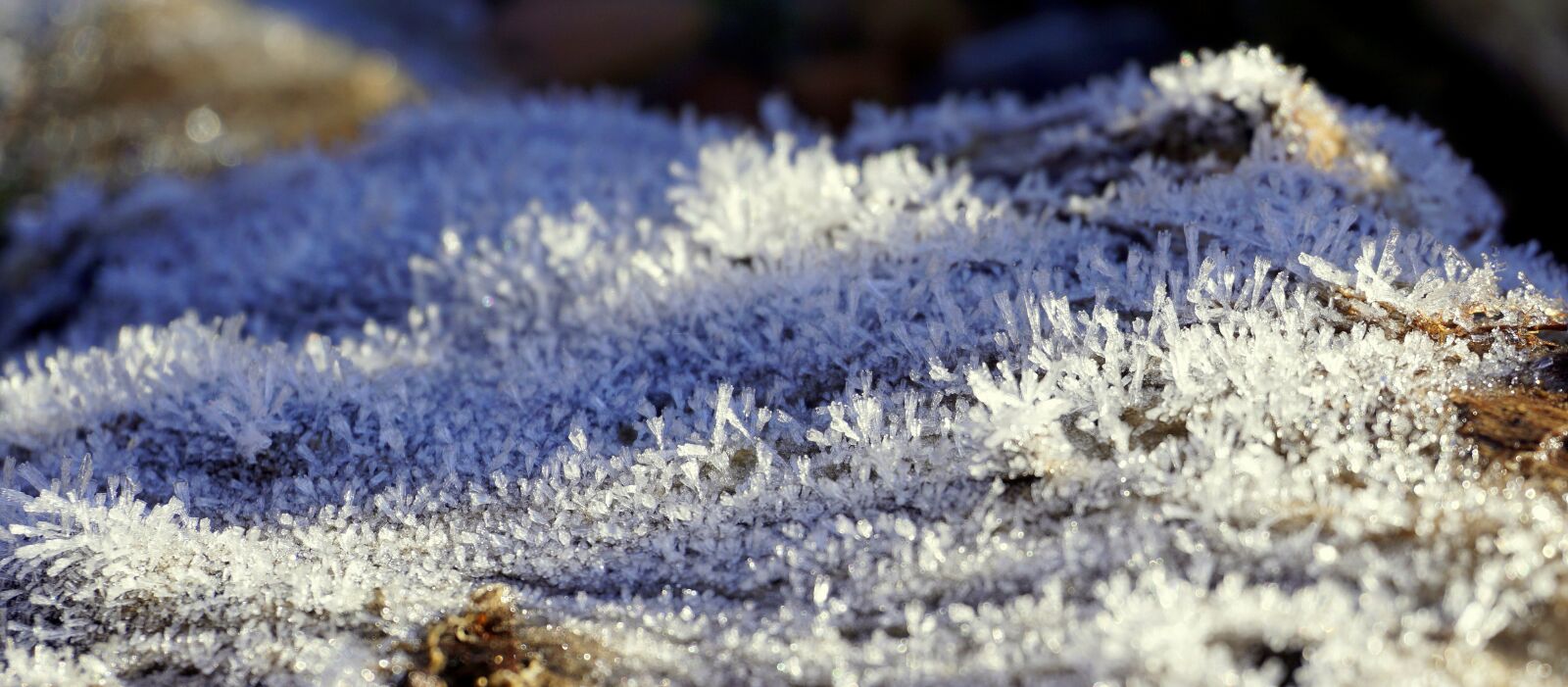 Sony a6000 sample photo. Ice, crystals, cold photography