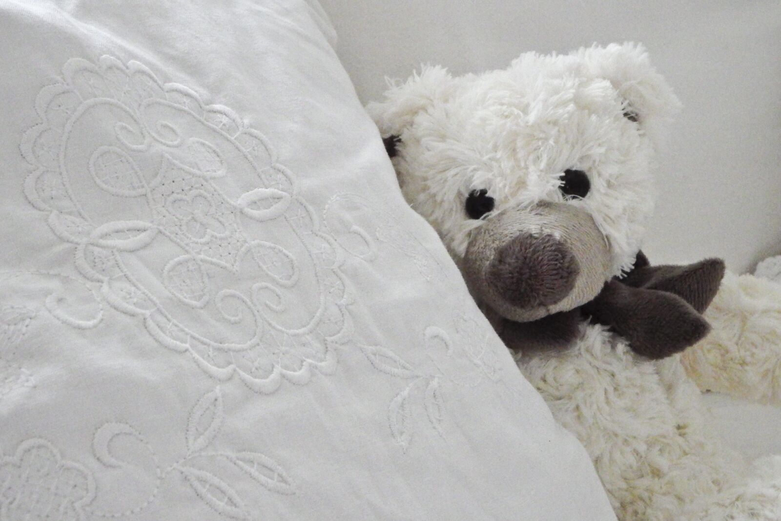 Fujifilm FinePix SL1000 sample photo. Teddy, toys, teddy bear photography