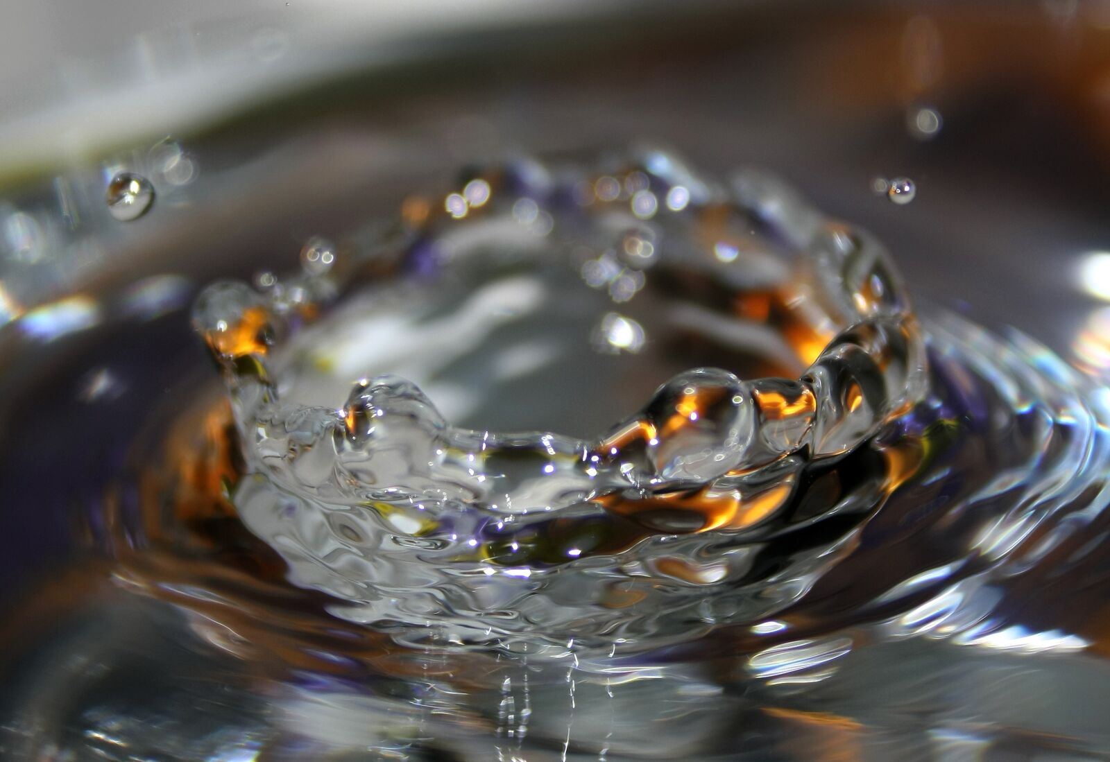 Canon EOS 1000D (EOS Digital Rebel XS / EOS Kiss F) sample photo. Pearl, wet, water photography