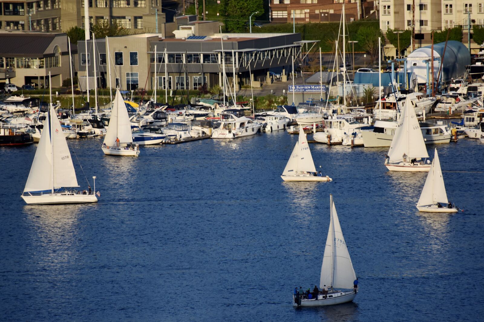 Nikon D3400 sample photo. Sailing boat, sailor, lake photography