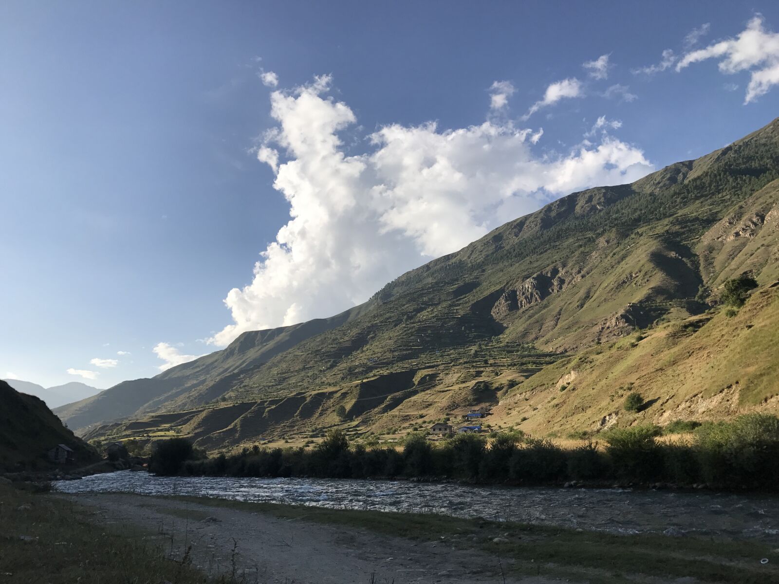iPhone 7 back camera 3.99mm f/1.8 sample photo. Nature, jumla, rara photography