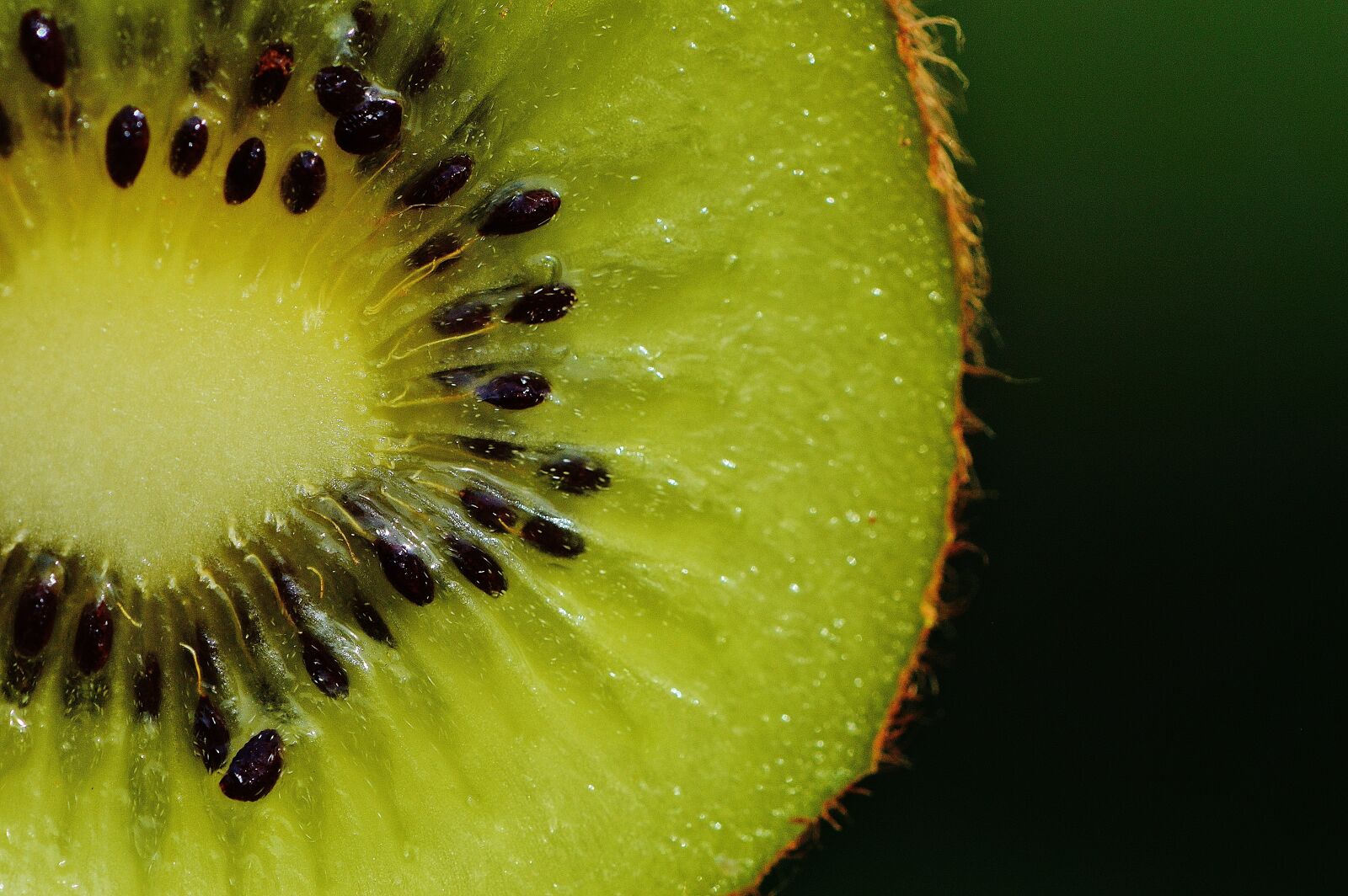 Nikon D3200 sample photo. Kiwi, fruit, healthy photography