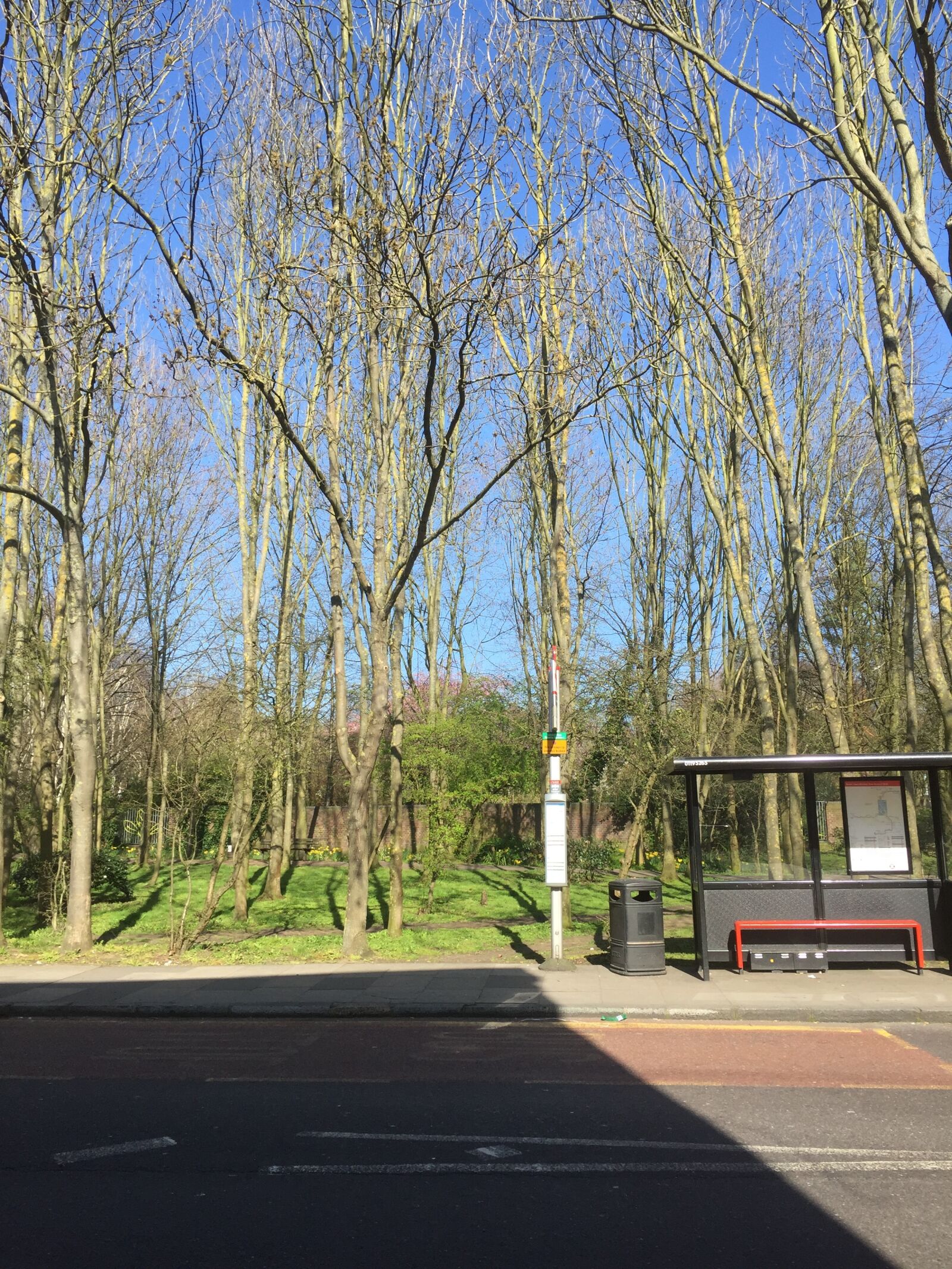 iPhone 6 back camera 4.15mm f/2.2 sample photo. Bus, bus, stop, london photography