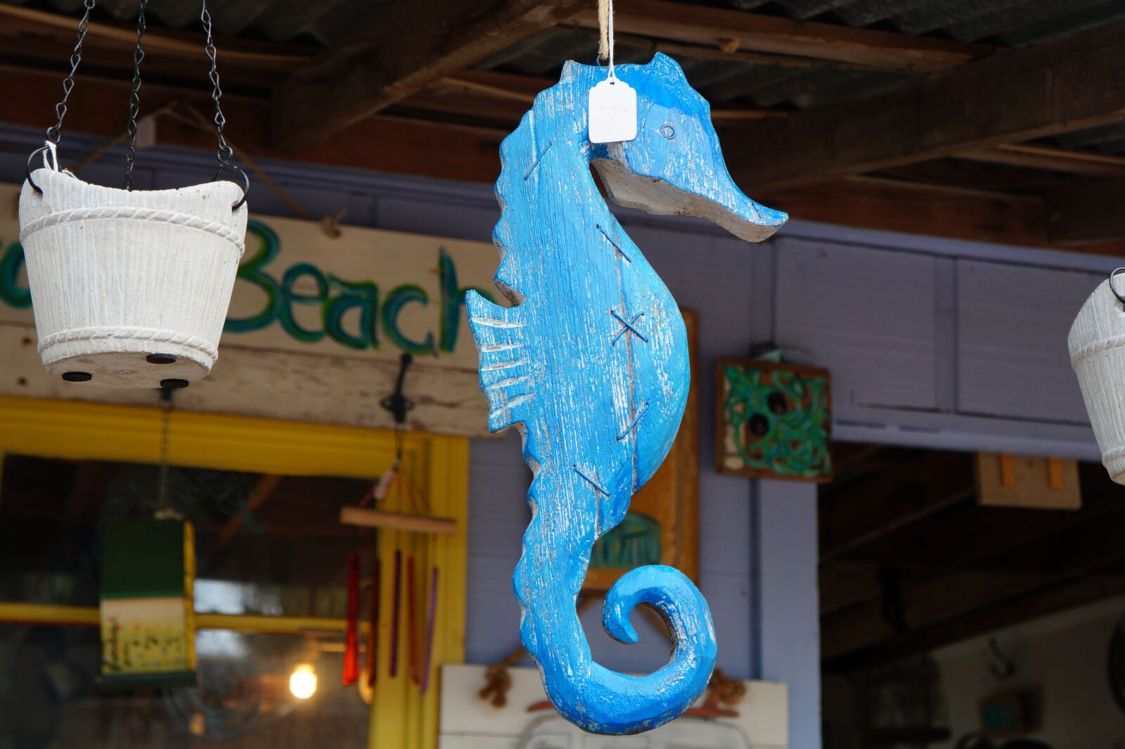 Sony Alpha a3000 + Sony E 18-55mm F3.5-5.6 OSS sample photo. Nautical decor, sea horse photography