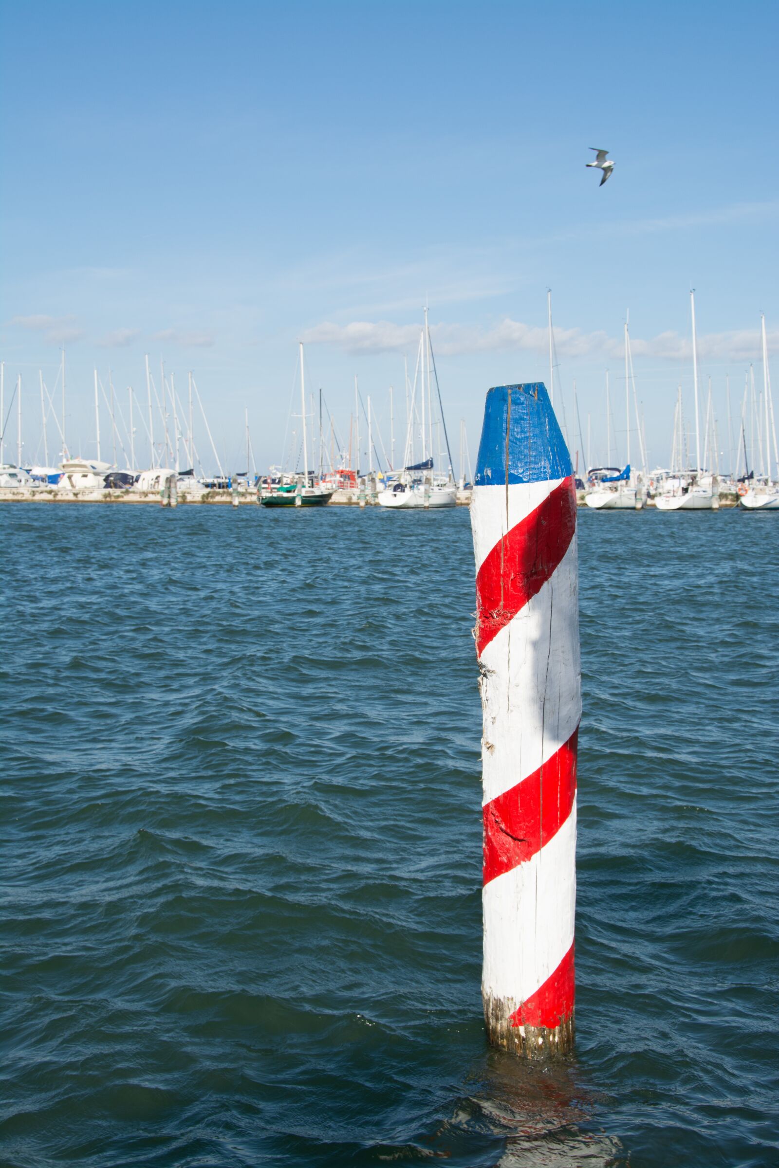 Nikon D7100 sample photo. Port, water, sea photography