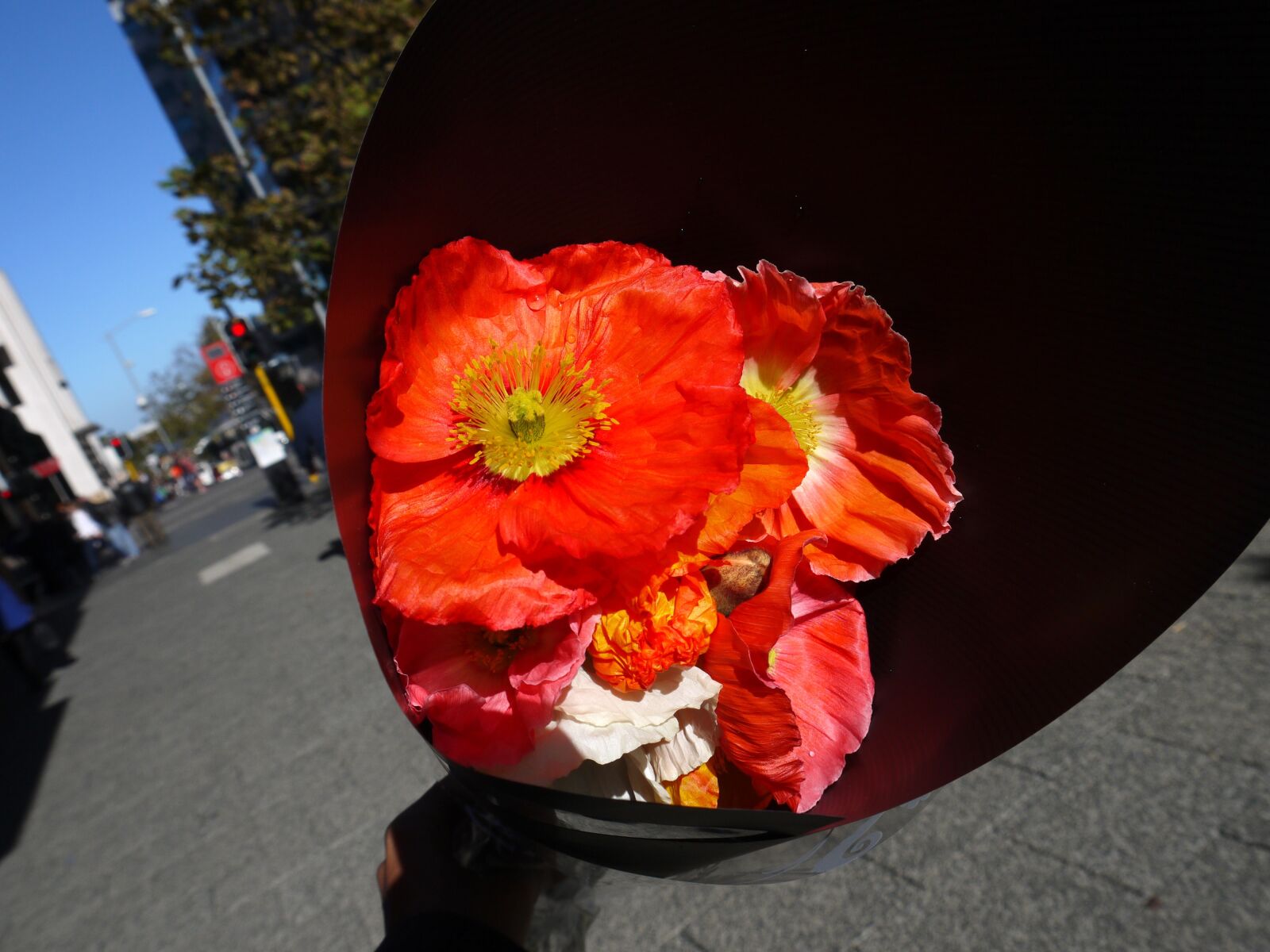 Panasonic Lumix DMC-GF3 sample photo. Flower, selling, red photography