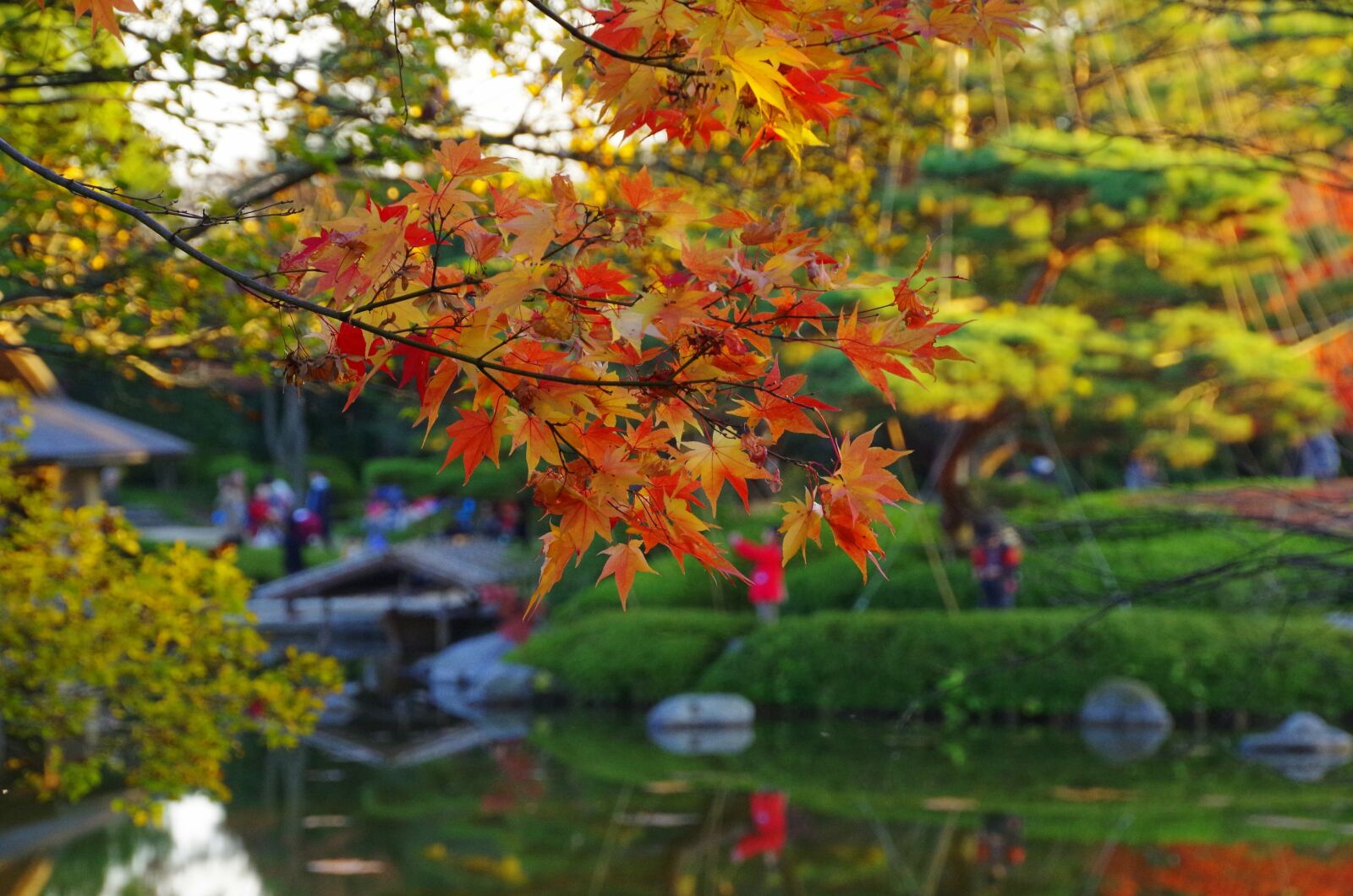 Pentax K-30 sample photo. Early autumn, k, japanese photography