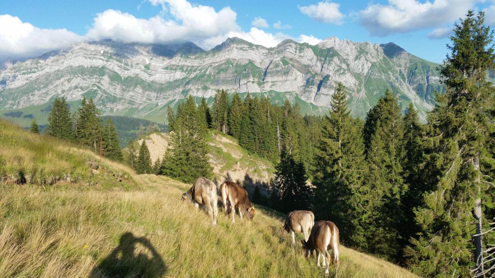 Samsung Galaxy S5 sample photo. Säntis, mountains, alpine photography