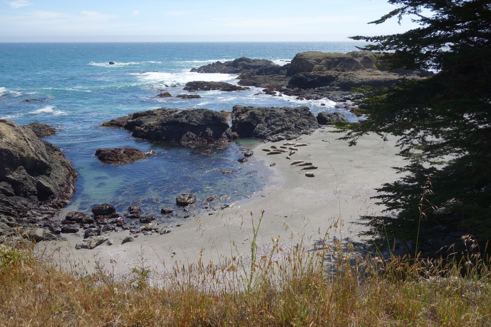 Sony Cyber-shot DSC-RX100 sample photo. Beach, cove, ocean photography