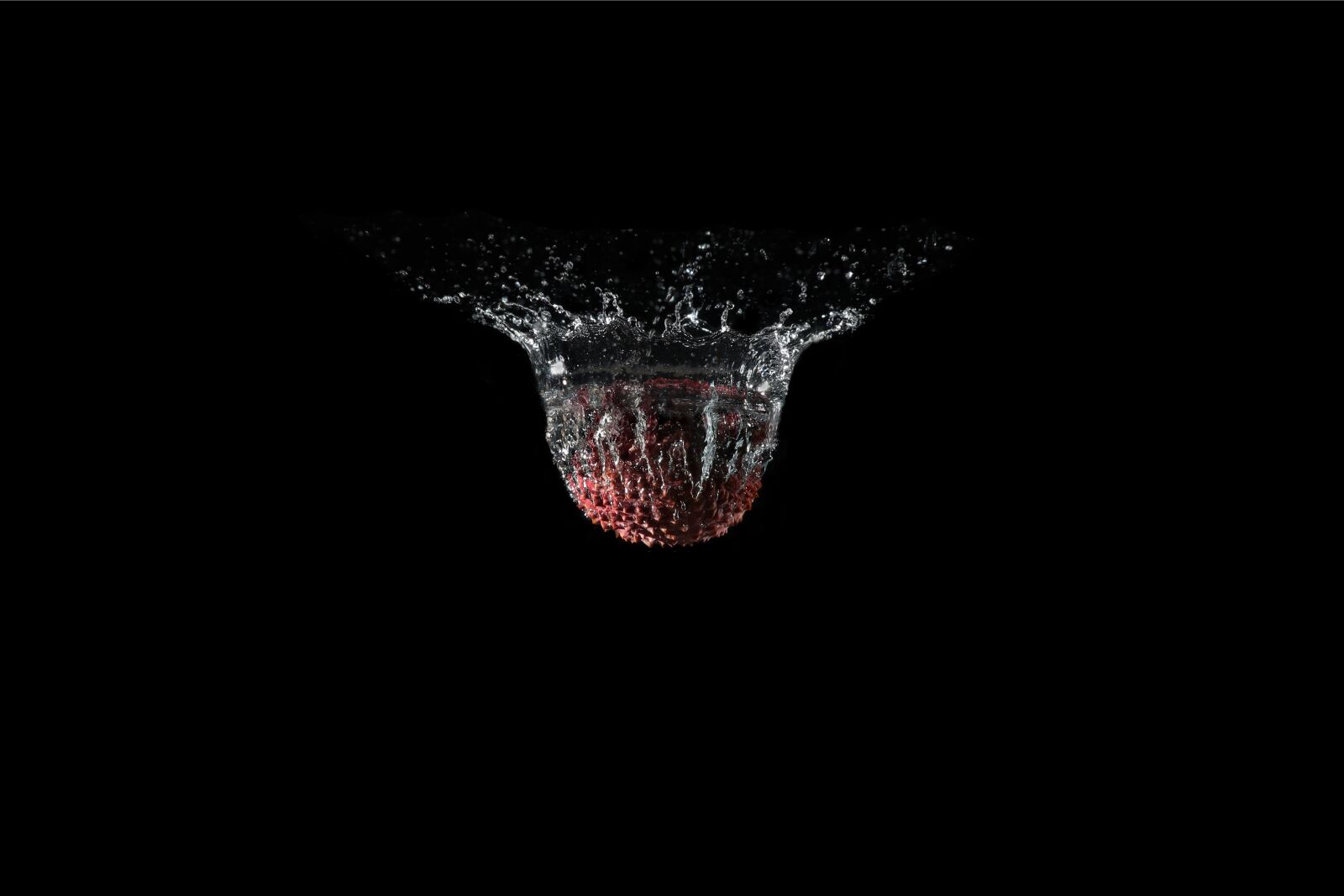 Canon EOS 77D (EOS 9000D / EOS 770D) sample photo. Lychee, fruit, water photography