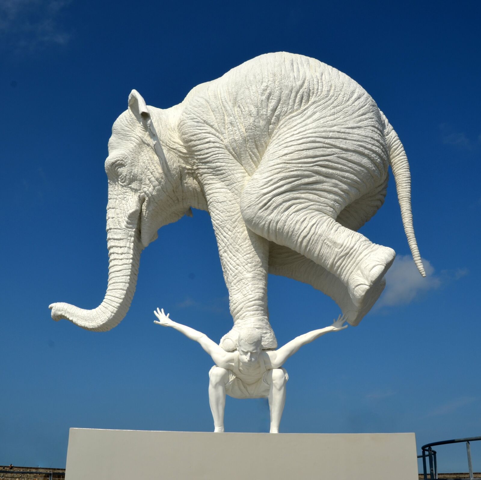 Nikon D5100 sample photo. Elephant, hard, pressure photography