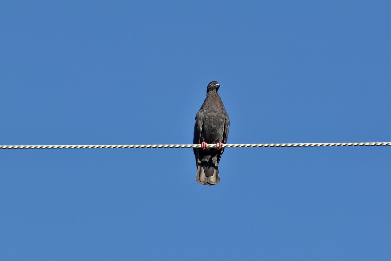 Nikon D5500 sample photo. Dark blue, fair weather photography