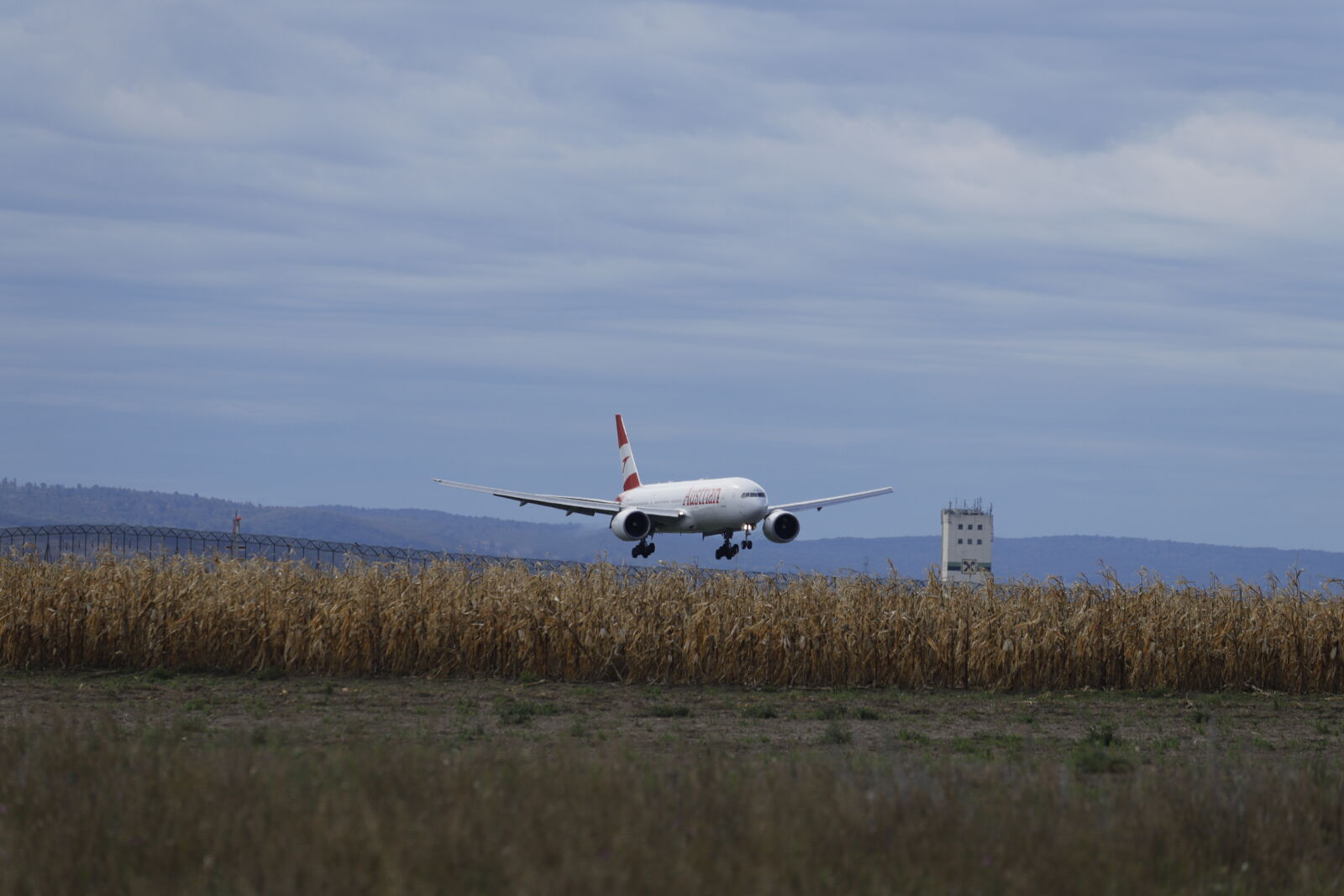 Canon EOS 6D Mark II sample photo