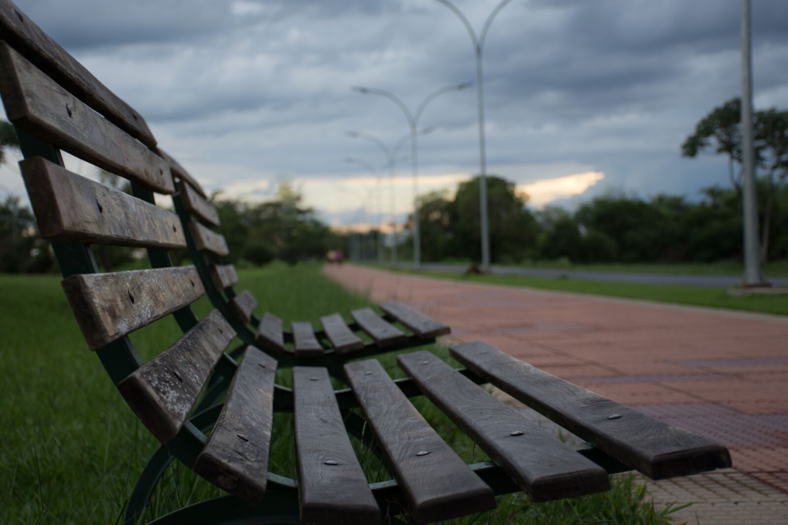 Nikon D7200 sample photo. Outdoors, lawn, summer photography