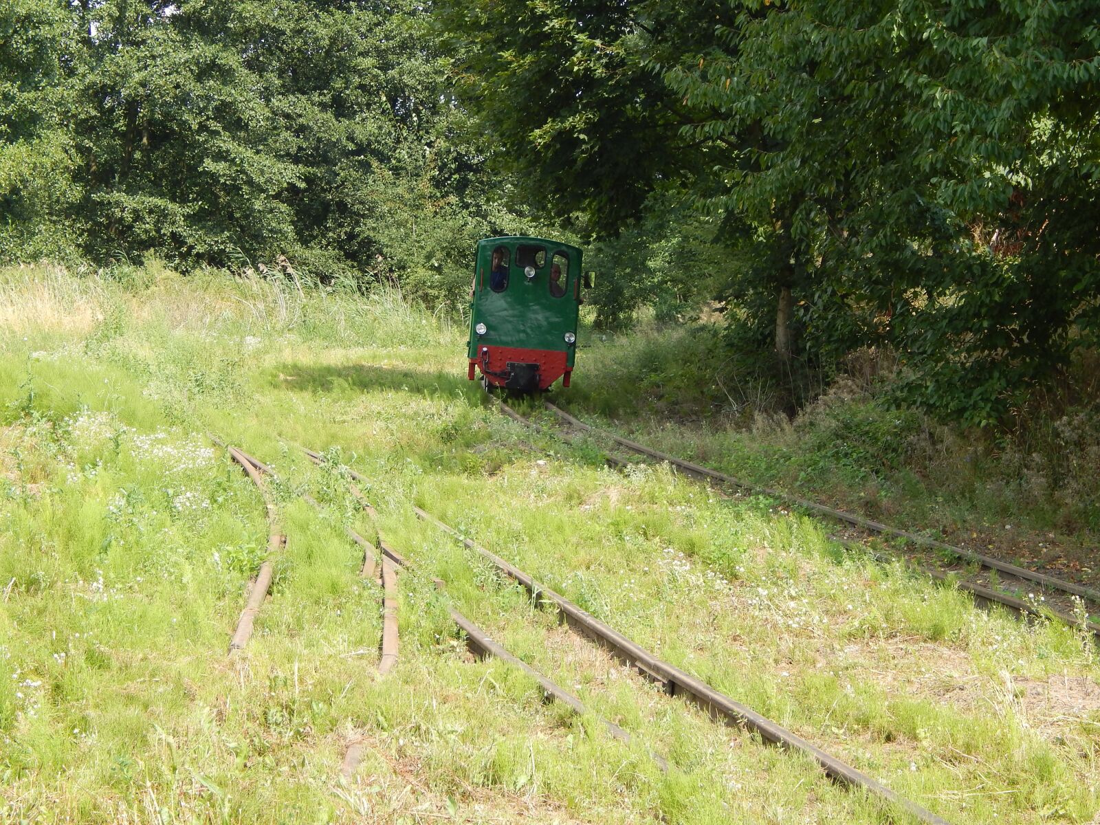 Nikon Coolpix L820 sample photo. Narrow-gauge railway, train, locomotive photography