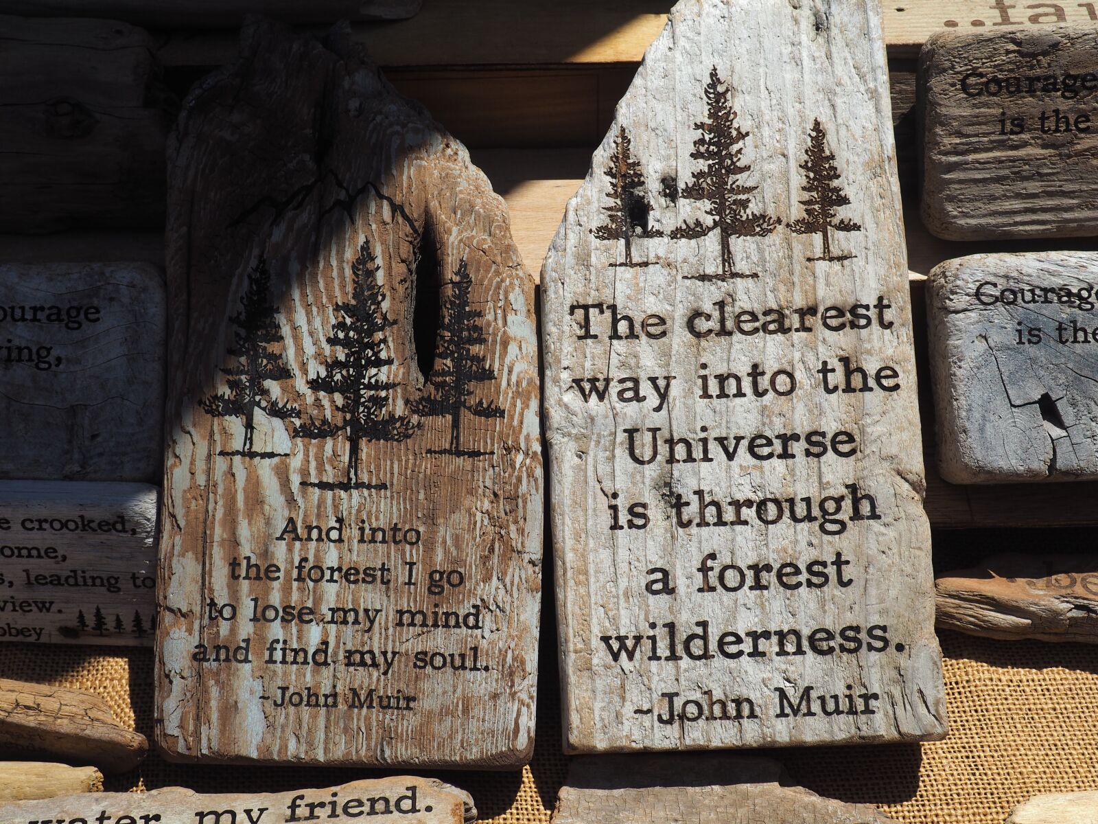 Olympus OM-D E-M10 II sample photo. Quote, nature, wood photography