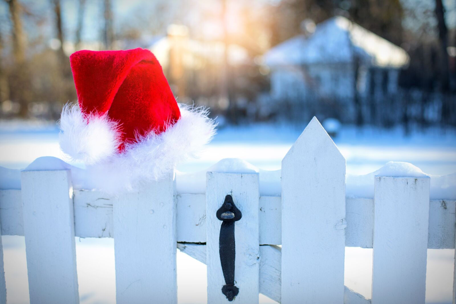 Canon EF 50mm F1.4 USM sample photo. Santa's hat, snow, winter photography