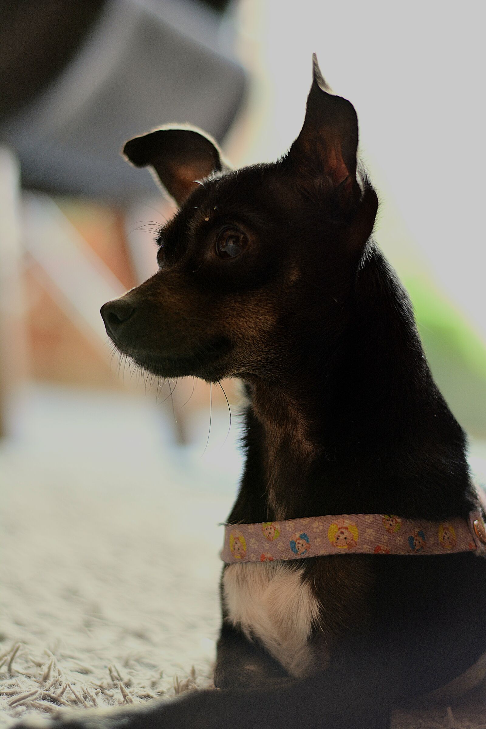 Nikon D5200 sample photo