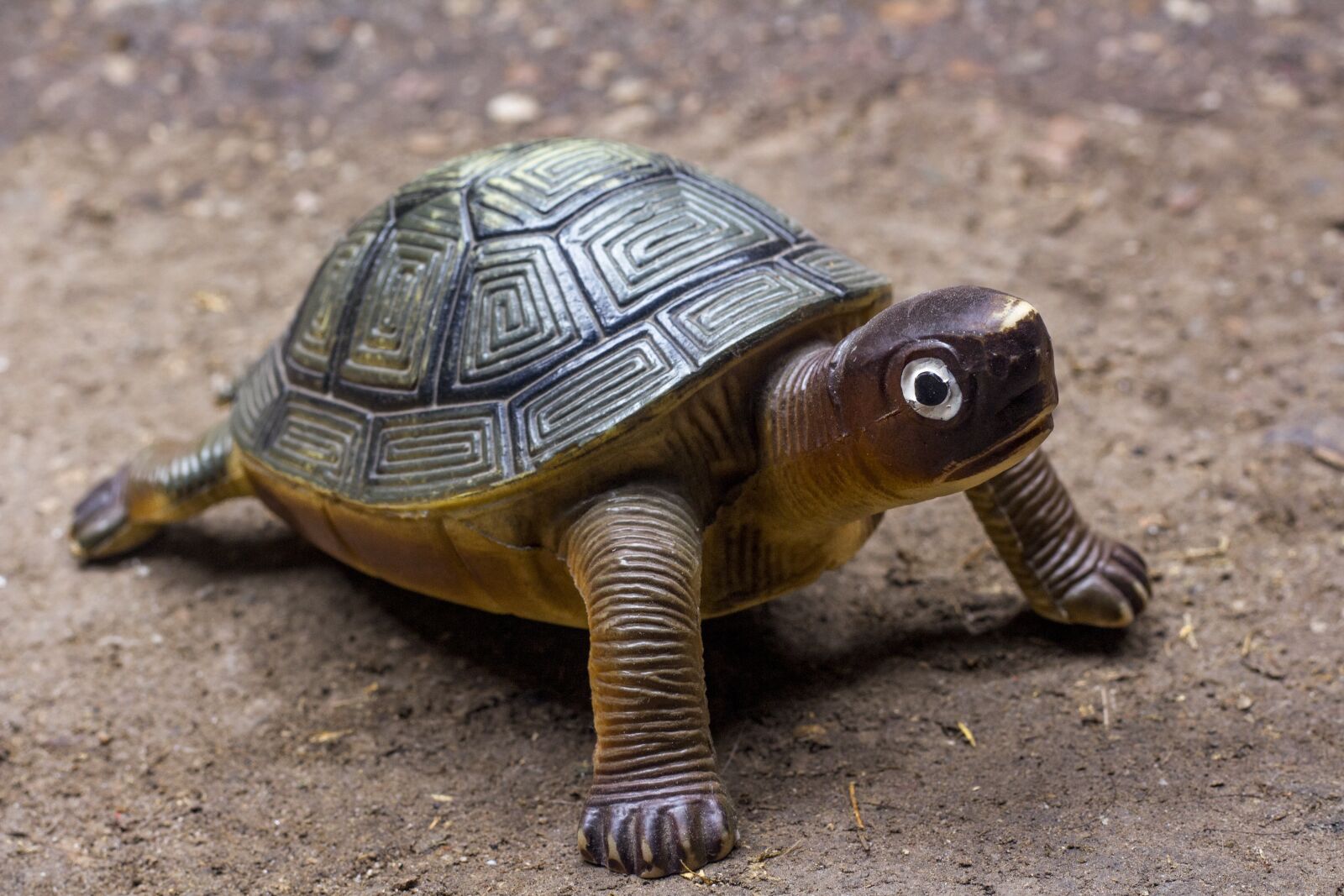 Canon EF 50mm F1.8 STM sample photo. Turtle, turtle toy animals photography
