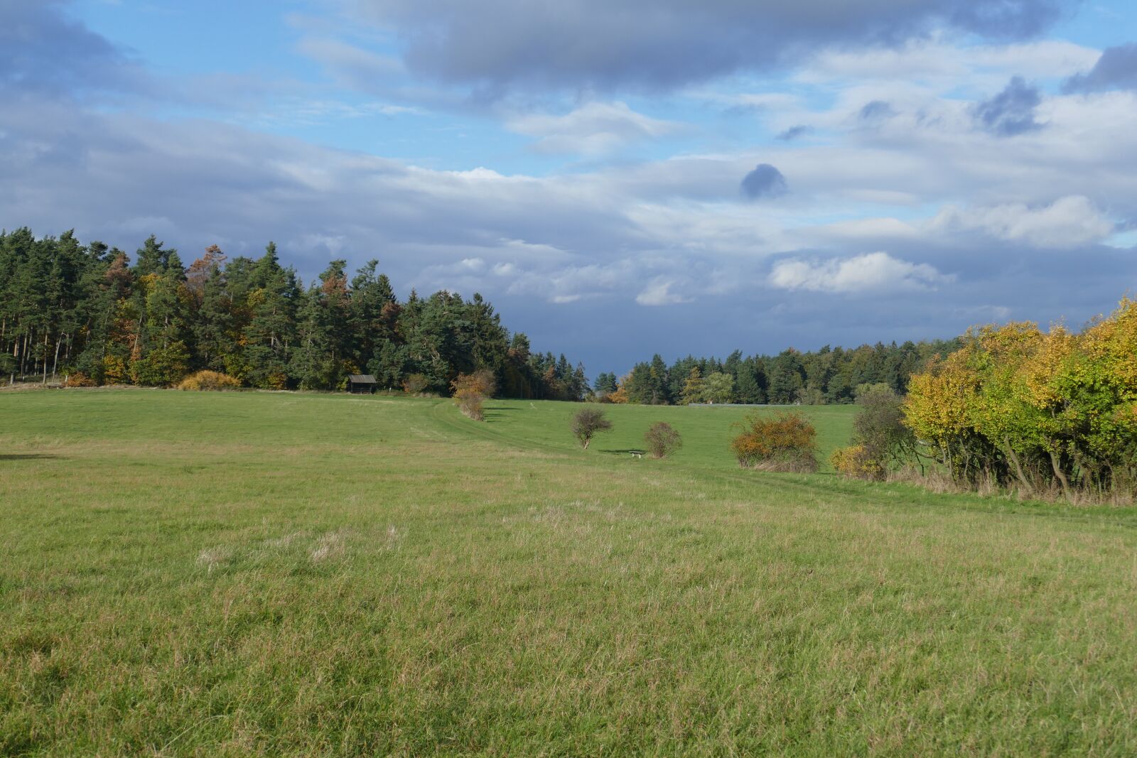 Panasonic Lumix DMC-FZ1000 sample photo. Meadow, perspective, landscape photography