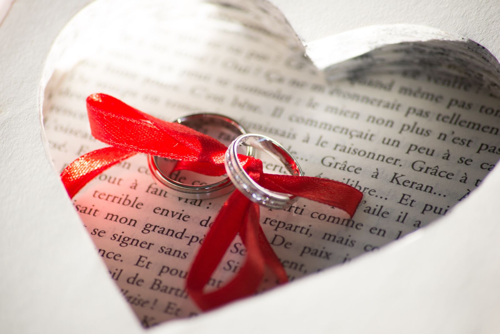 Nikon D800 sample photo. Aliances, love, union photography