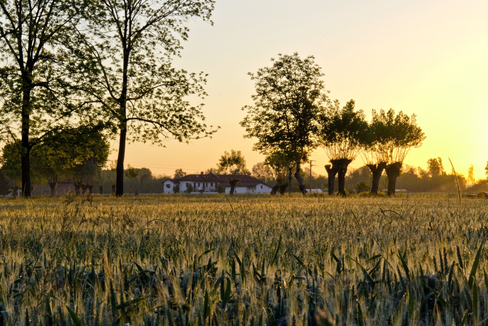 Nikon D5100 sample photo. Dawn, sun, landscape photography