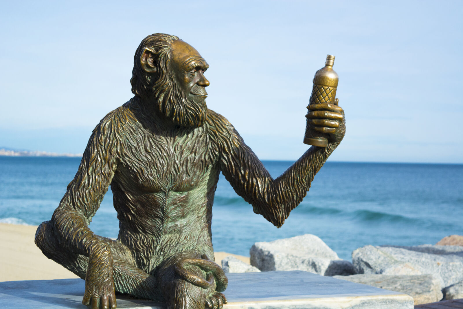 Nikon D5200 sample photo. Close, up, of, statue photography