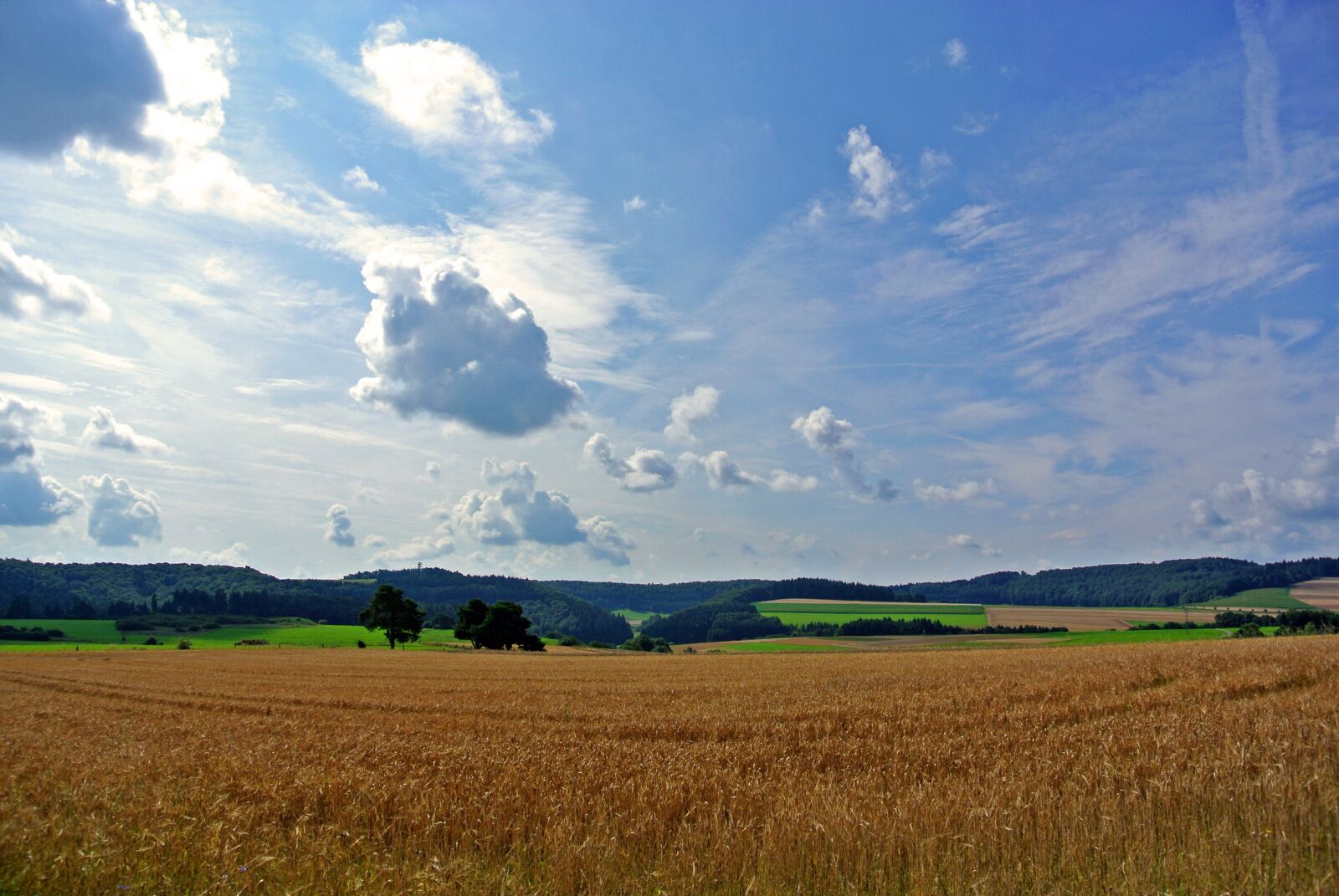 Nikon 1 J1 sample photo. Cereals, fields, clouds photography