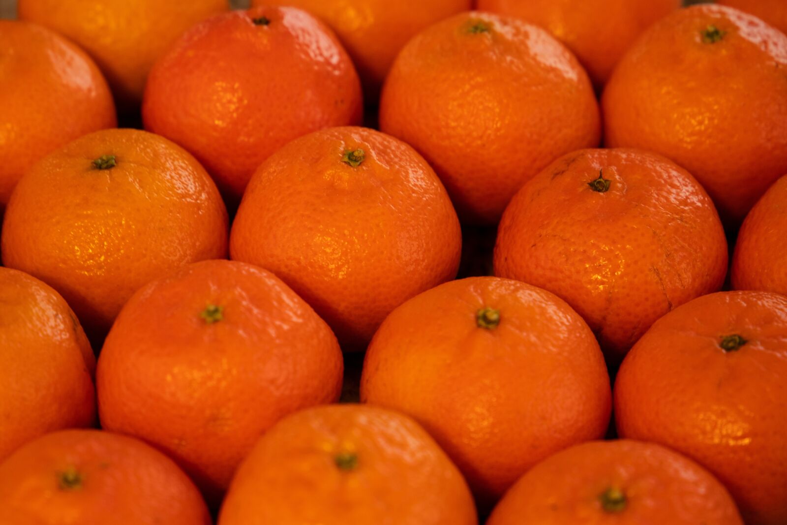 Canon EOS 6D Mark II sample photo. Clementine, mandarin, food photography