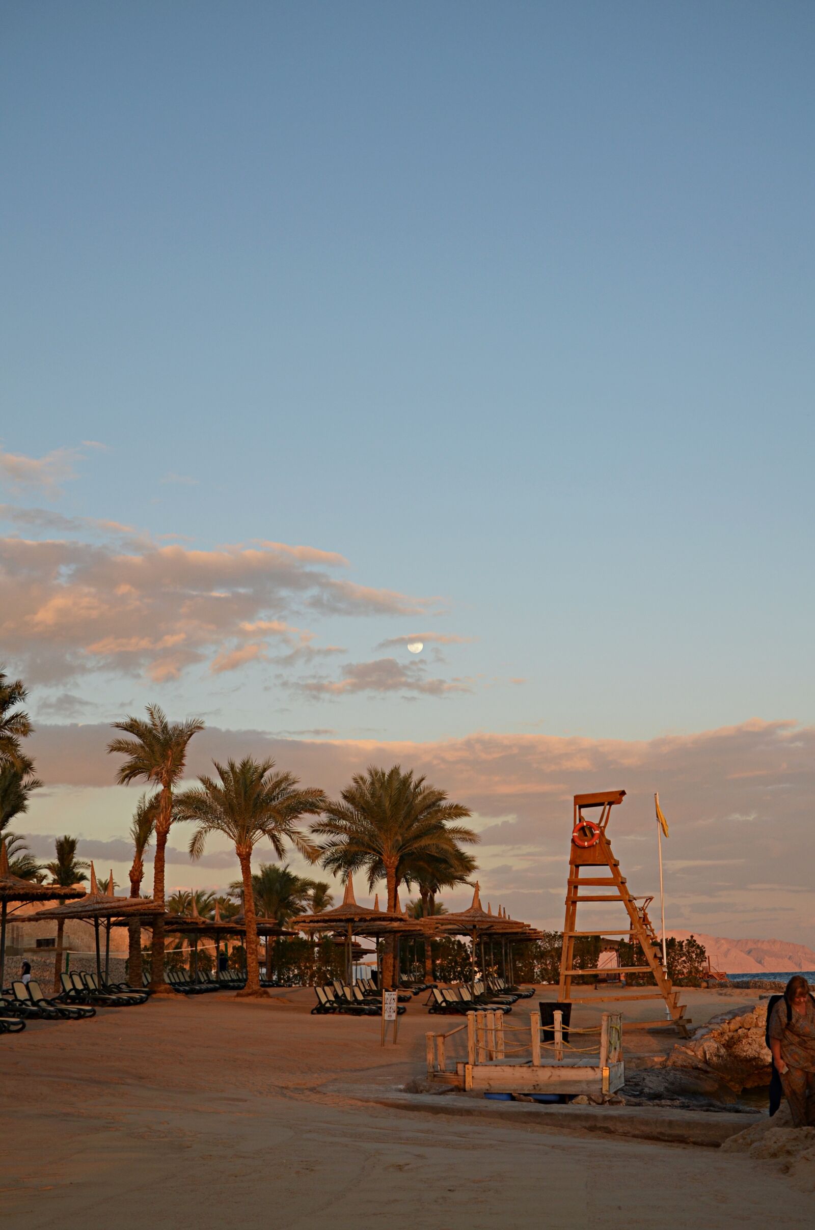 Nikon D5100 sample photo. Evening, palm trees, sea photography