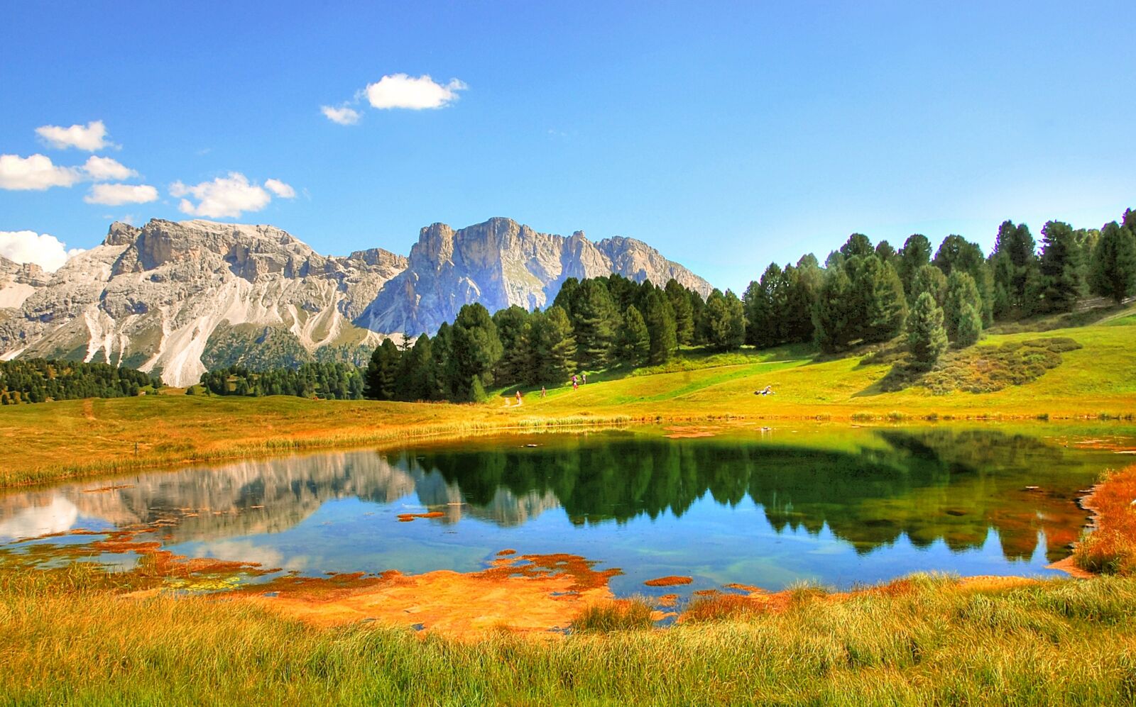 Nikon D40 sample photo. Dolomites, val gardena, nature photography