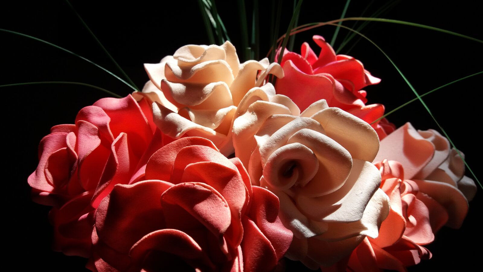 Samsung Galaxy J5 sample photo. Flower, red, sunlight photography