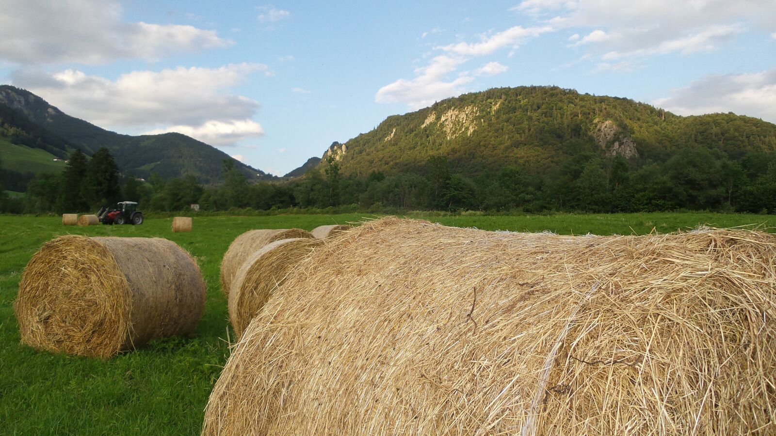 Samsung Galaxy S4 Zoom sample photo. Hay, harvest, agriculture photography