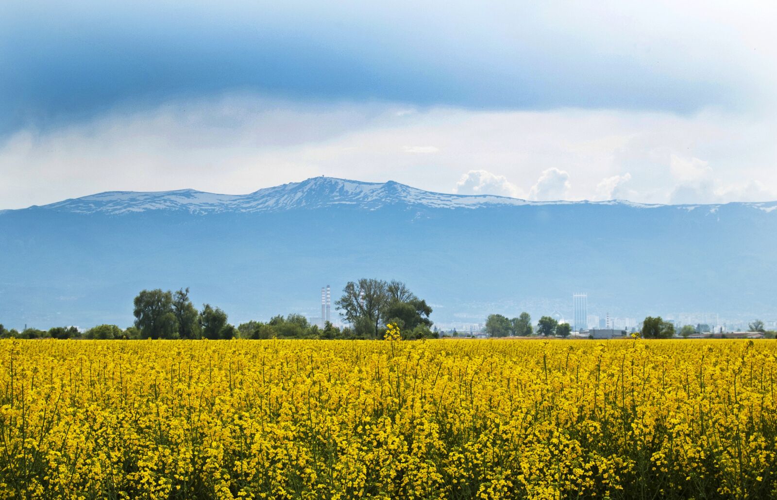 Nikon D50 sample photo. Agriculture, crop, bulgaria photography