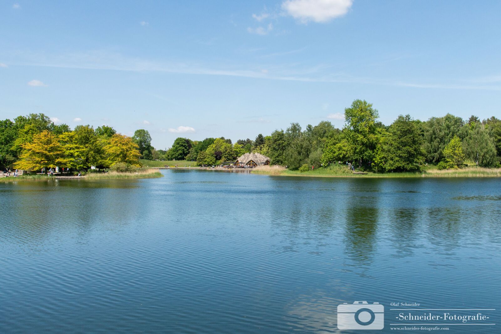 Nikon D850 sample photo. Britzer garden photography