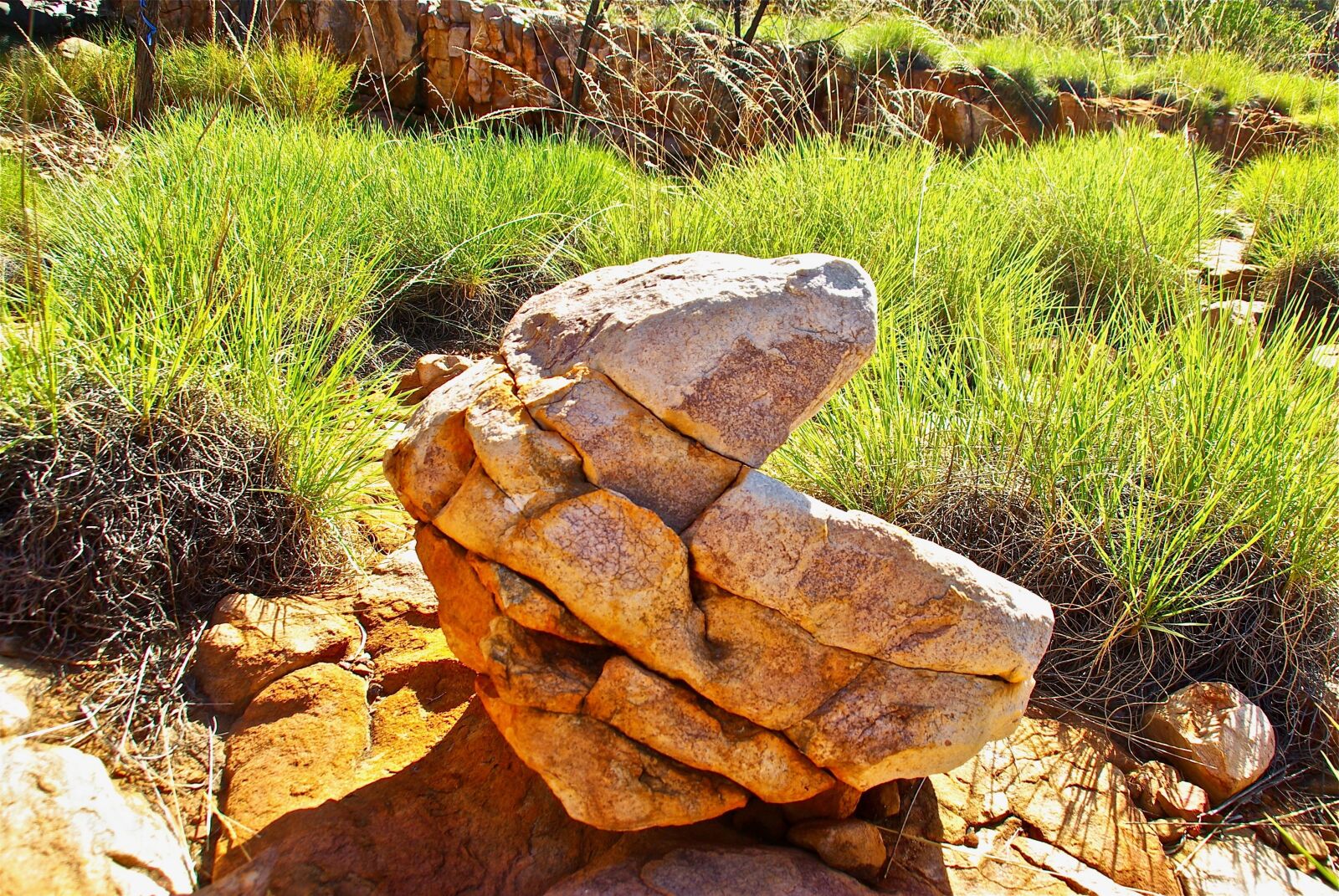 Pentax K10D sample photo. Rock, structure, nature photography