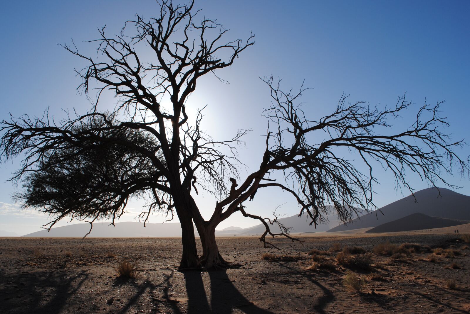 Nikon D3000 sample photo. Africa, namibia, sossusvlei photography