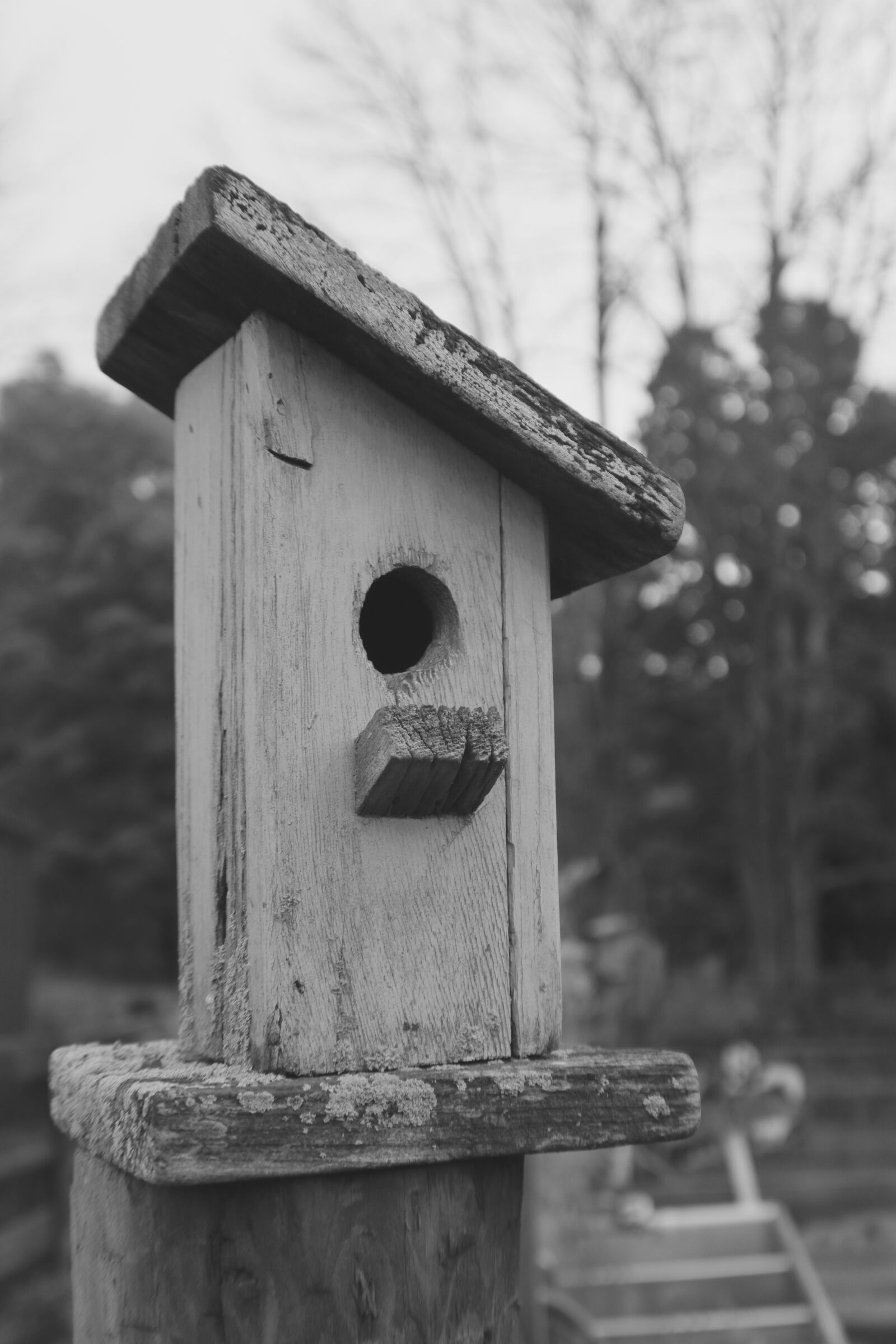 Canon EOS 750D (EOS Rebel T6i / EOS Kiss X8i) sample photo. Birdhouse, outdoor, nature photography