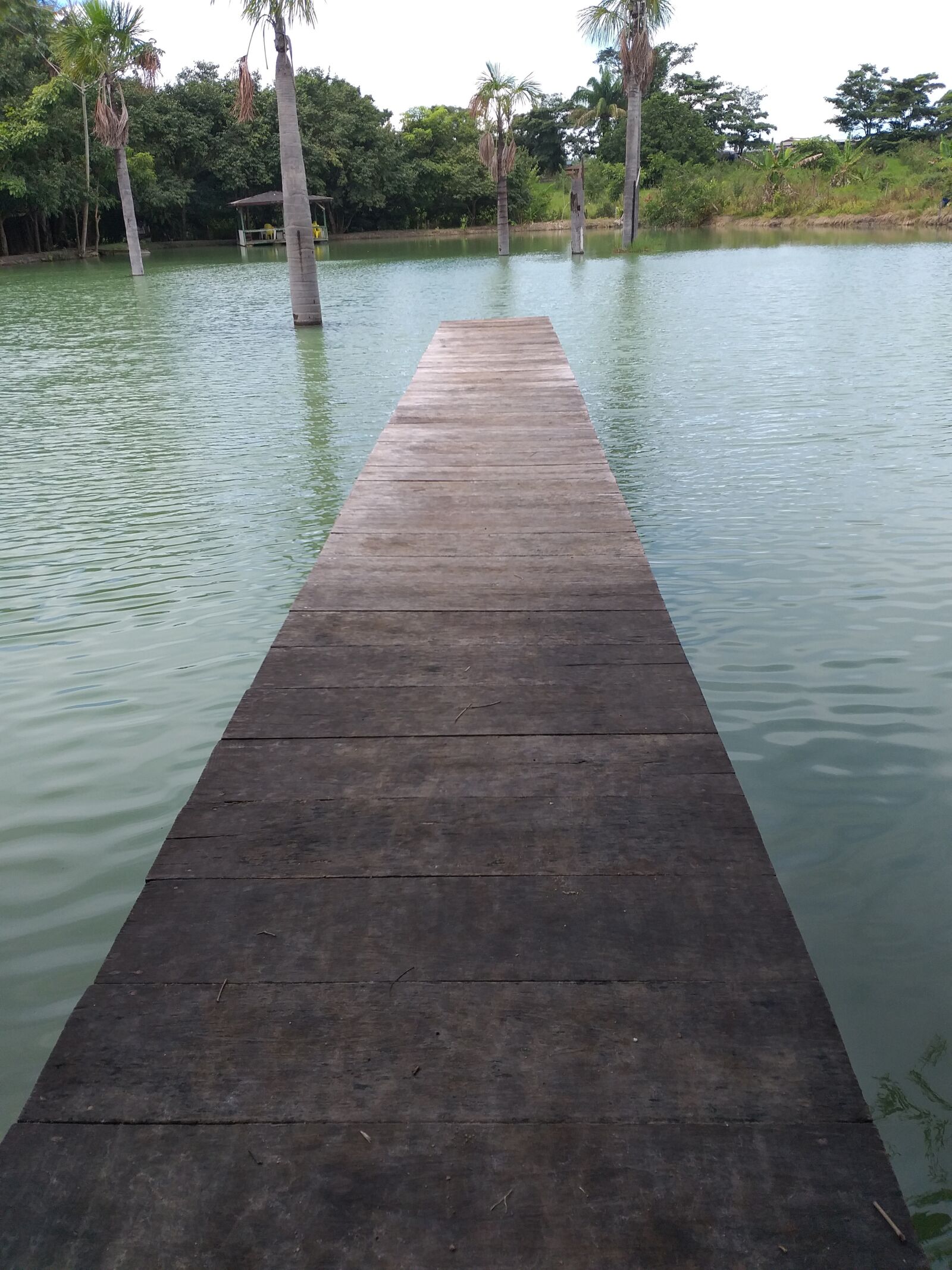 Samsung Galaxy J8 sample photo. Bridge, nature, landscape photography