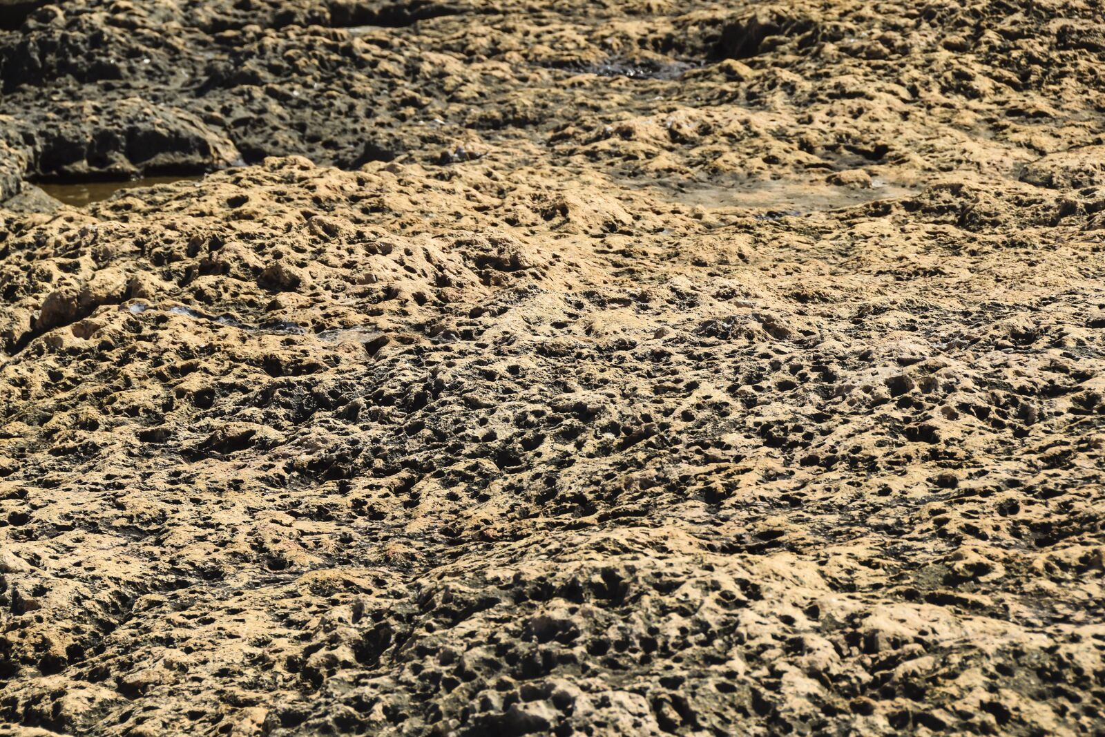 Nikon D5300 sample photo. Texture, meteorite, background photography