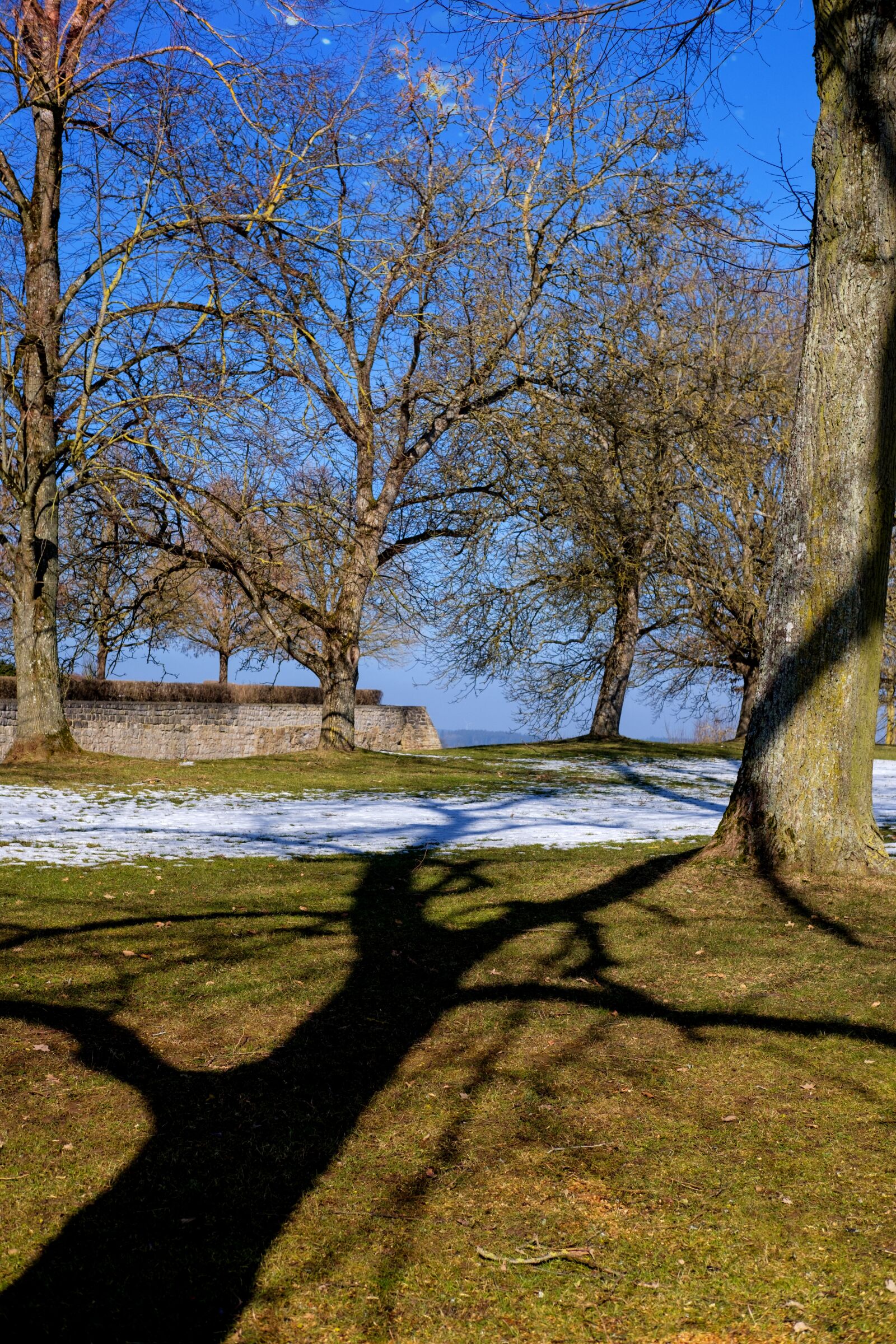 Fujifilm X-T2 + Fujifilm XF 35mm F2 R WR sample photo. Shadow, park, trees photography