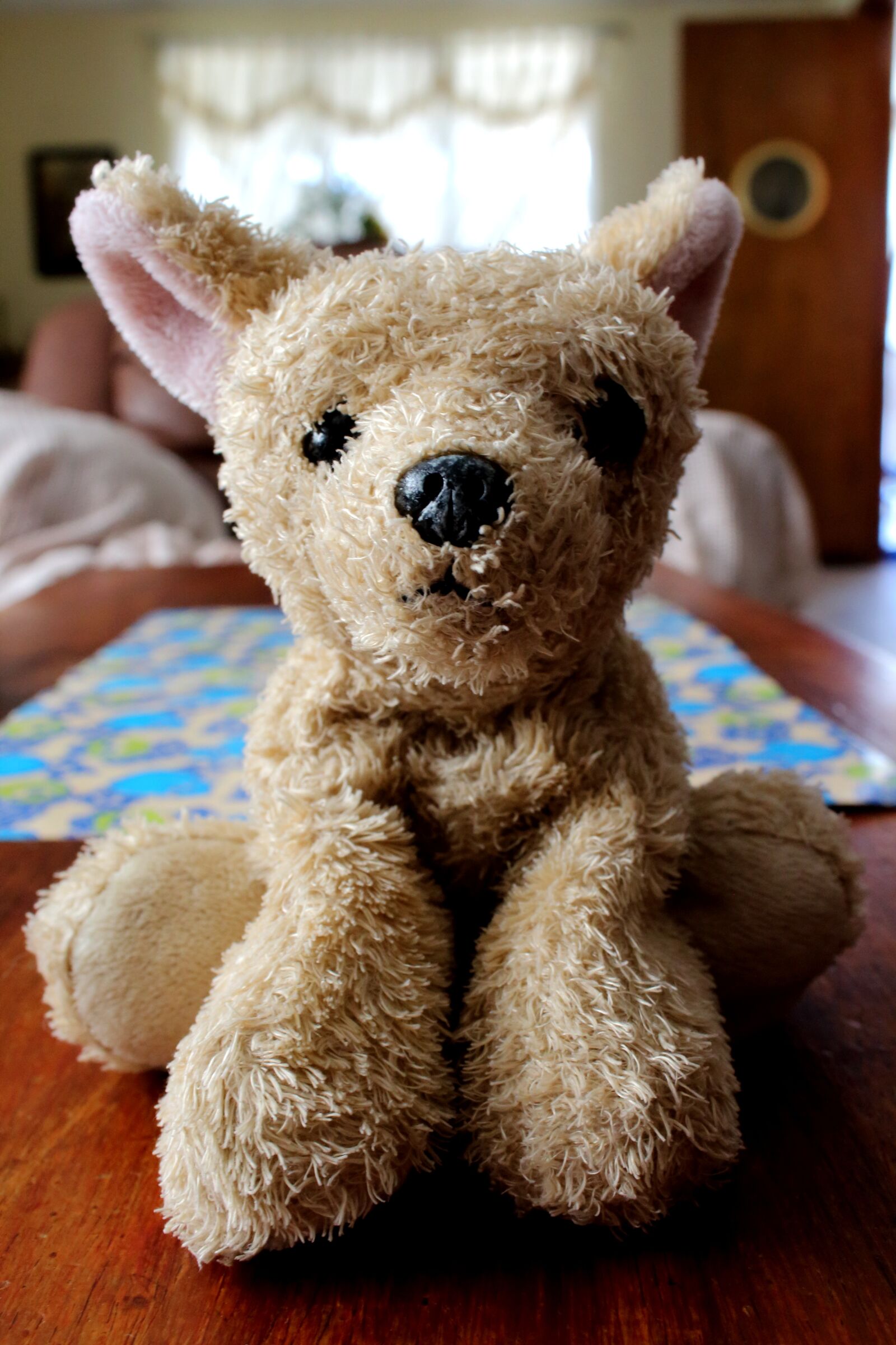 Canon EOS 1200D (EOS Rebel T5 / EOS Kiss X70 / EOS Hi) sample photo. Toy, puppy, play photography