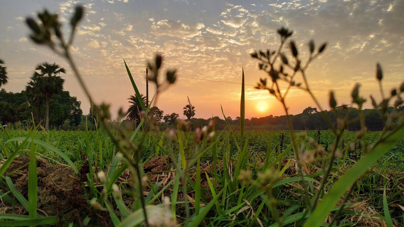 Xiaomi Redmi Note 6 Pro sample photo. Nature, best nature wallpaper photography