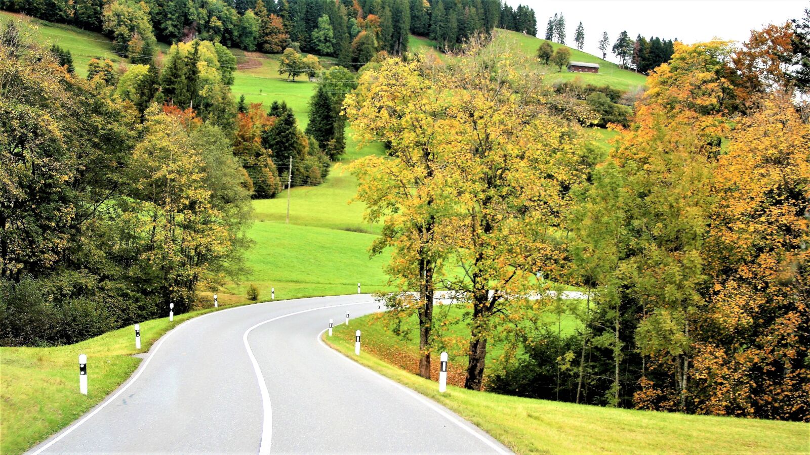 Canon EOS 400D (EOS Digital Rebel XTi / EOS Kiss Digital X) sample photo. Highway, way, autumn gold photography