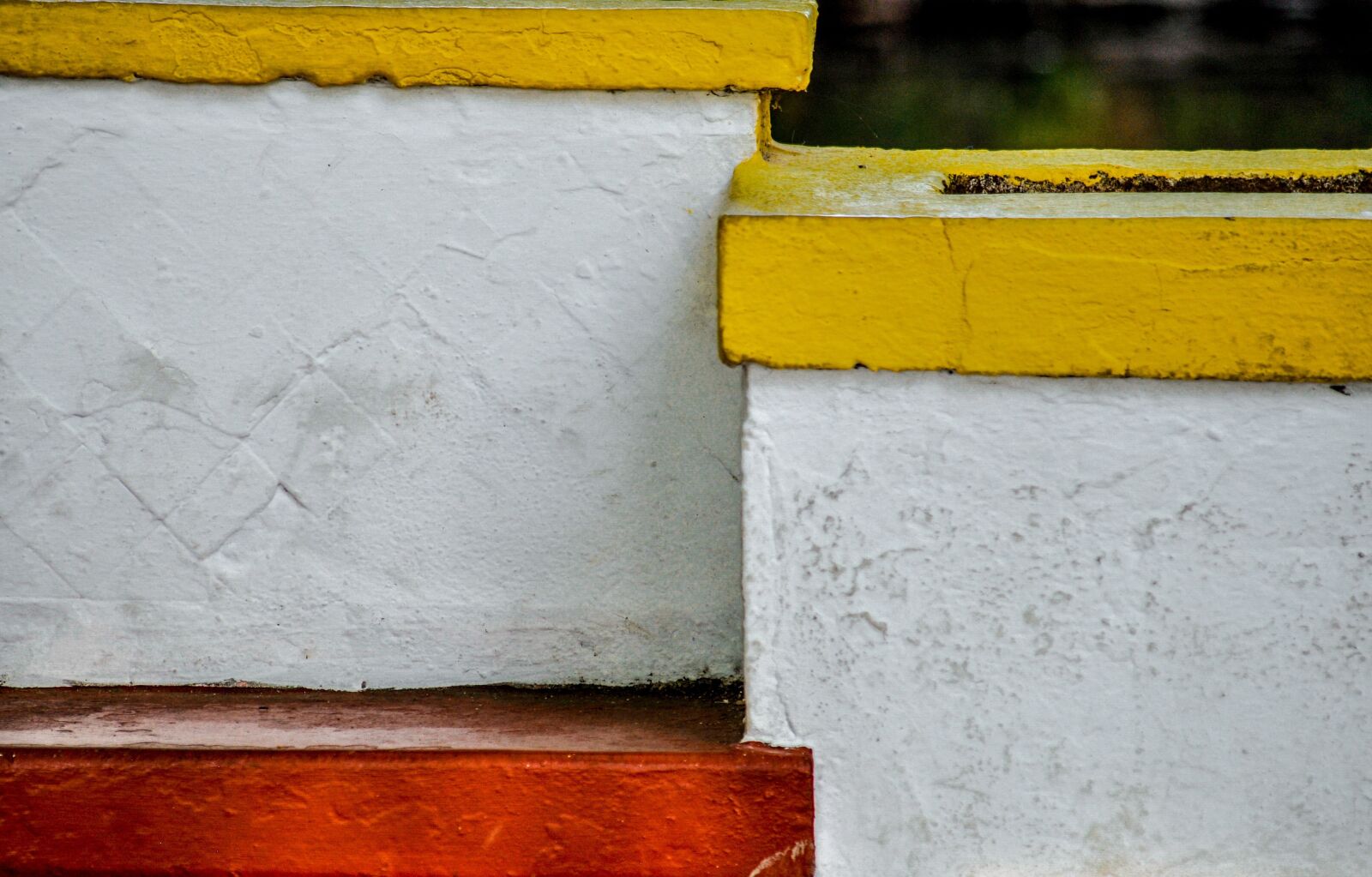 Nikon D90 sample photo. Yellow, white, red photography