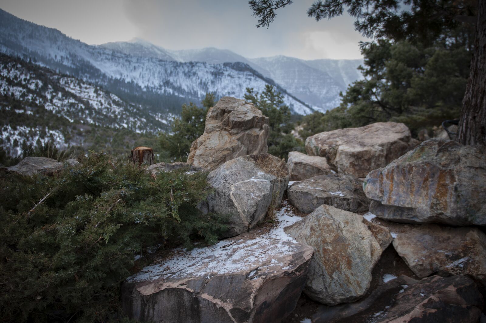 Nikon D300S sample photo. Winter, christmas, vegas photography